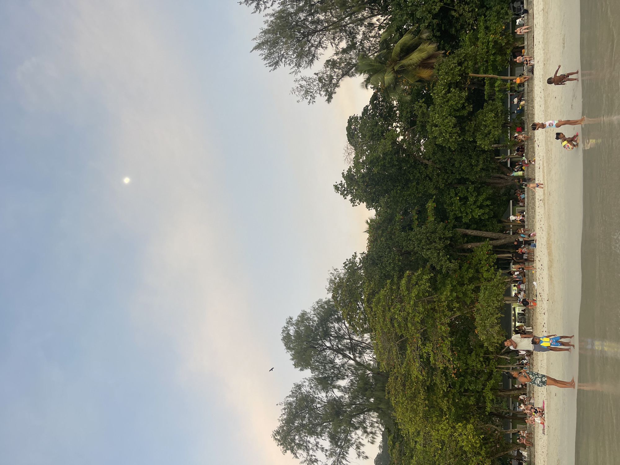 A photograph taken at Mare Anglaise beach in Seychelles depicts a serene sunset scene. In the foreground, the calm, shallow water gently laps the shore, reflecting the soft sky. A sandy beach stretches behind, dotted with various individuals and groups. In the middle ground, a family stands near the water's edge: a woman in a floral dress, a man in a grey t-shirt and blue shorts, and a young child wearing a yellow and blue life jacket. Further back on the beach, numerous people are seated on chairs and towels, some interacting and others observing the surroundings. Beyond the beach, a dense line of lush green trees forms a backdrop, with taller pine-like trees and palm trees interspersed. The sky above is a pale blue with scattered clouds, and a faint, bright circle, possibly the moon, is visible in the upper portion of the frame. A solitary bird is captured in flight against the sky. The overall atmosphere is one of leisure and tranquility, characteristic of a tropical beach setting at dusk.