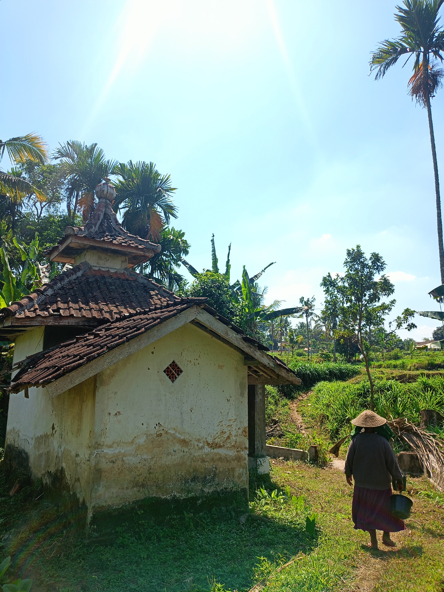 A medium shot captures a person walking away from a weathered, small building with a tiled roof in a rural setting in Jelbuk, Indonesia. The person, seen from the back, wears a conical straw hat, a dark sweater, and a long, dark red skirt. They carry a dark bucket in their right hand and a bundle of foliage over their left shoulder. The building, with its white, discolored walls and aged, terracotta roof tiles, appears to be a small temple or shrine, possibly a place of worship.
The surrounding environment is lush and green, with vibrant grass and various tropical plants, including banana trees and tall palm trees, indicating a warm, sunny climate. Sunlight beams down from the clear blue sky, creating lens flare in the upper portion of the image and casting shadows on the ground. A pathway, visible behind the building and to the right, winds through the verdant landscape. In the background, rice terraces are visible, suggesting an agricultural area. The overall scene depicts a peaceful, sun-drenched day in a rural Indonesian village.