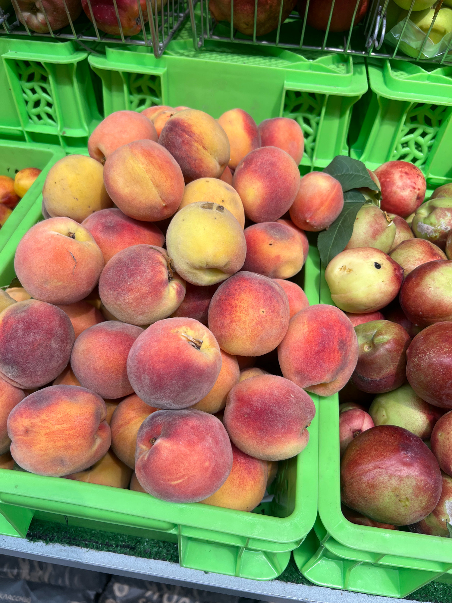 A close-up, high-angle shot captures a vibrant display of fresh peaches and nectarines piled high in bright green plastic crates. The fruit is densely packed, with some fruits partially obscuring others. The peaches exhibit a range of colors, from pale yellow and blush pink to deep red, with velvety skin visible on many. Nectarines are also present, their smooth skin showing hues of yellow, red, and green. Some of the fruit, particularly the nectarines on the right, show slight imperfections or blemishes. The green plastic crates are a prominent feature, with their structured design and some visible drainage holes. In the background, blurred shelves with more fruit and metallic racks suggest a marketplace or grocery store setting. The overall impression is one of abundance and fresh produce, likely in a market stall in Osh City, Kyrgyzstan, given the context.