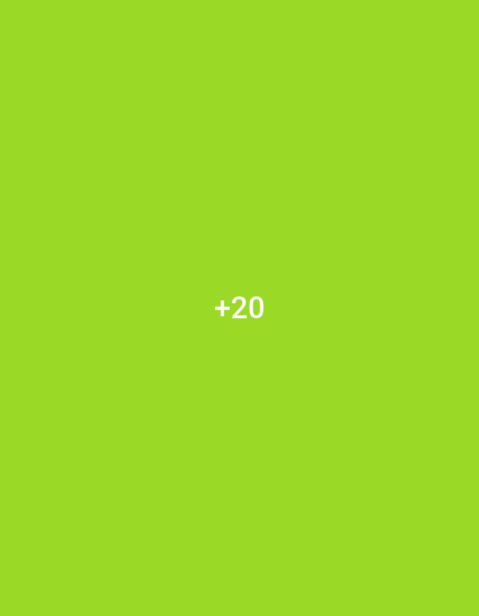The image is a plain green background with the text "+20" centered on it in white. There are no people, objects, actions, or interactions depicted in the image. The location of Jalingo, Nigeria, is not relevant to the content of this image.