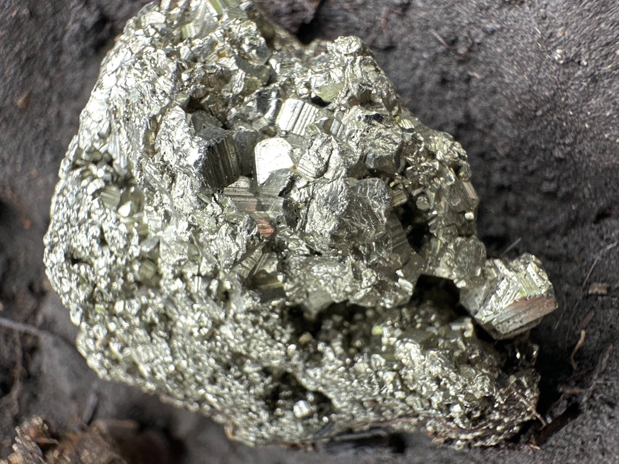 A close-up, high-angle shot captures a cluster of metallic mineral crystals, likely pyrite, resting on a dark, granular surface resembling soil or rock. The primary subject is the mineral specimen, which is characterized by its bright, brassy yellow to silvery metallic luster and highly reflective surfaces.
The mineral is composed of numerous small, intricately formed crystals. Many individual crystals display distinct geometric shapes, including visible cubic forms and fine striations on their faces, which are characteristic of pyrite. Light reflects brightly off these crystalline facets, creating a mosaic of highlights and shadows across the specimen. Some areas show densely packed, well-defined crystals, while others present a more granular or massive texture. Deep crevices and sheltered areas within the aggregate reveal further complexity in the crystal formation.
The background is uniformly dark and appears to be loose, earthy material, possibly soil or dark sediment, emphasizing the contrast with the bright mineral. The lighting indicates it is daytime, with direct light illuminating the specimen and enhancing its metallic sheen. There is no visible activity or event taking place, and no people or animals are present. No text is visible in the image. The focus is solely on the detailed texture and reflective properties of the mineral within its natural setting.