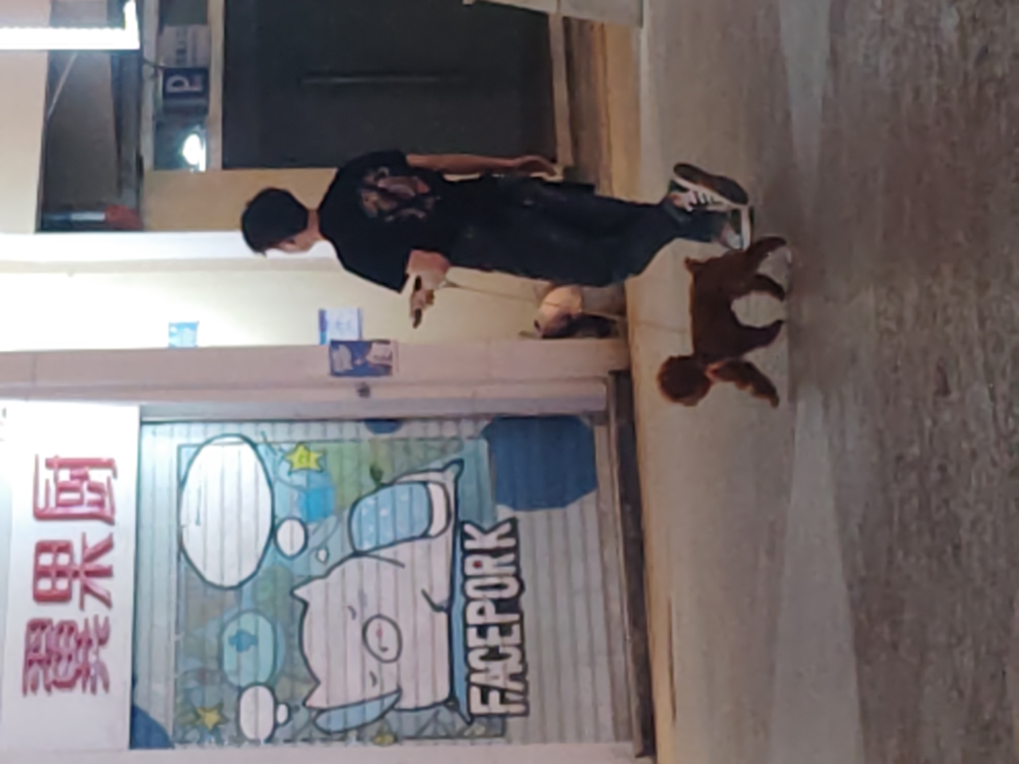 A person walks a brown poodle dog outside a building in Chongqing High-tech Zone, China. The person is wearing a dark-colored shirt and dark pants, and the dog is on a leash. The building has a storefront with a mural on it that includes the word "FACEPORK". Red Chinese characters are to the left of the mural.