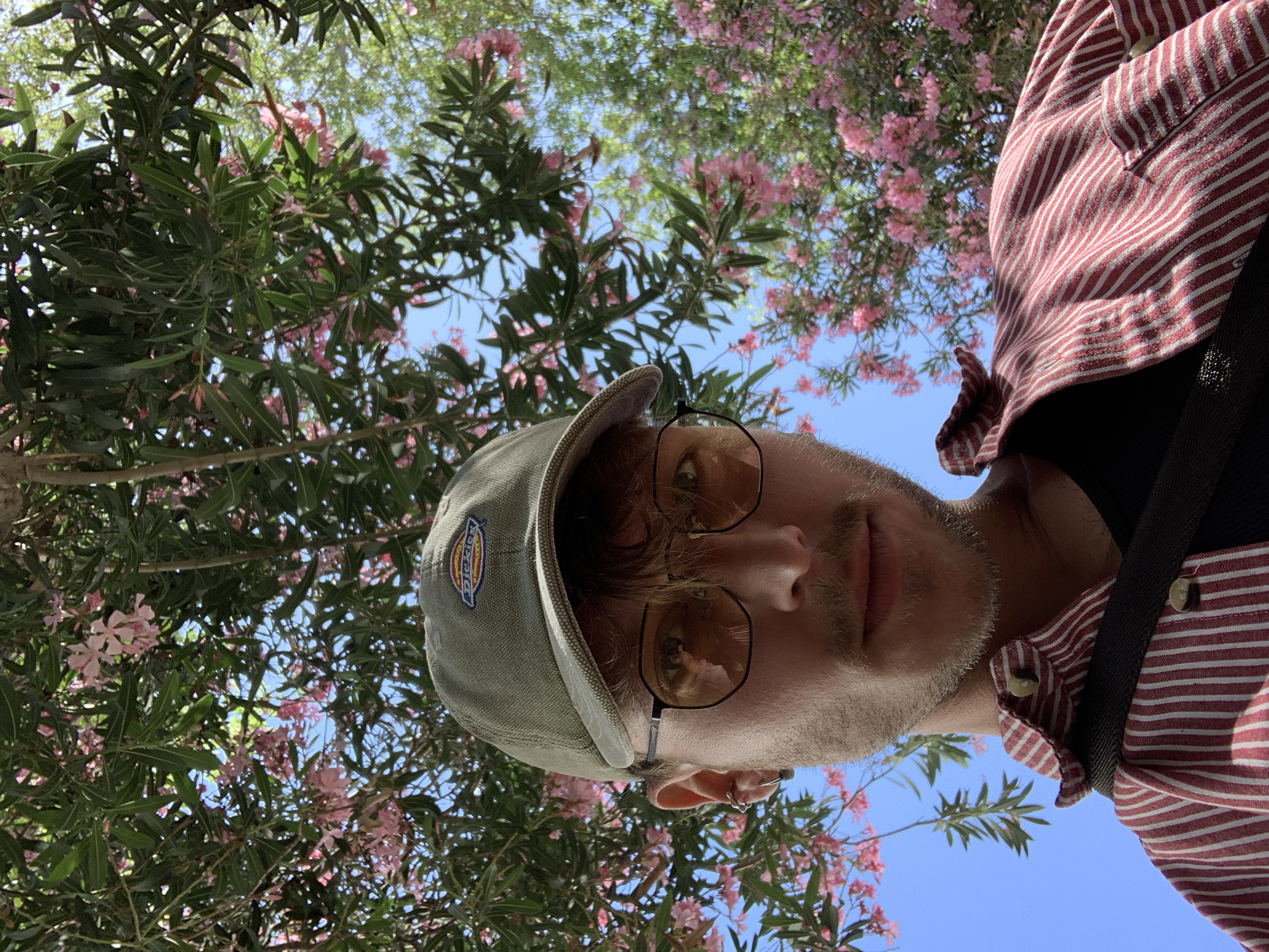 The image is a bright, upward-facing selfie of a young man, taken outdoors on a sunny day. He looks directly at the camera with a neutral expression. He wears a greyish-green cap with a "Dickies" logo visible on the front, and octagonal-shaped glasses with light-tinted lenses and dark frames. A light beard or stubble covers his jawline and chin. His left ear features multiple small piercings. He is wearing a red and white vertical striped shirt, with a black strap from a bag or garment visible over his right shoulder.
The background is dominated by a clear blue sky interspersed with dense green foliage and numerous clusters of pink flowers. The leaves are elongated and the flowers are small, suggesting a flowering shrub or tree like oleander, common in the specified Tel-Aviv, Israel location. The bright lighting and clear sky indicate it is daytime. The image captures a casual outdoor moment.