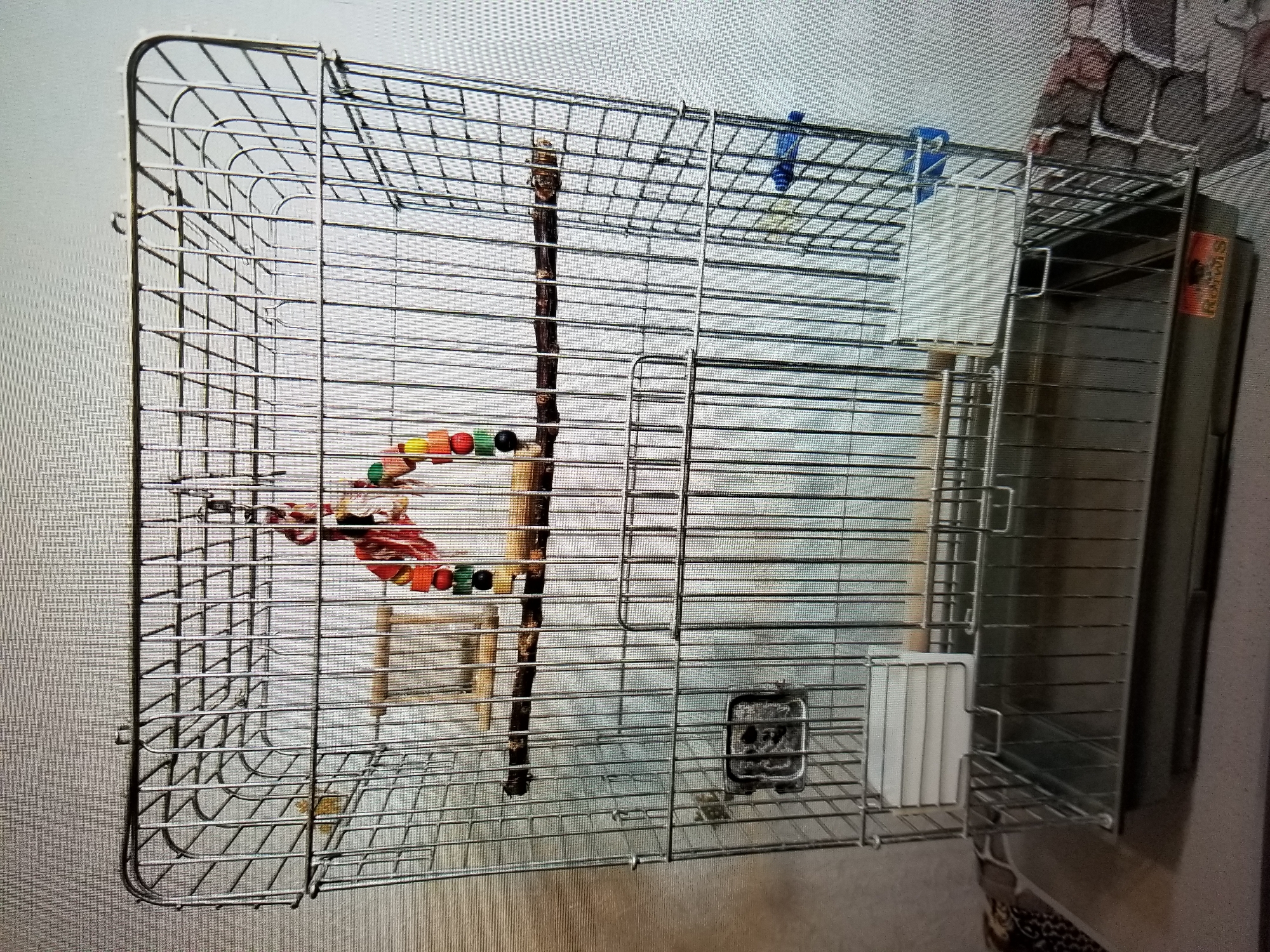 An empty, tall, silver wire birdcage stands in front of a textured, light-colored wall. The cage has a removable tray at the bottom. Inside the cage, a natural wood branch serves as a perch, with a colorful bird toy made of wooden beads and red and white string hanging from the top. There are also two white feeders or water dishes attached to the cage bars. The scene is indoors, and the lighting suggests it is daytime. There is no indication of the city of Tiraspol, Moldova.