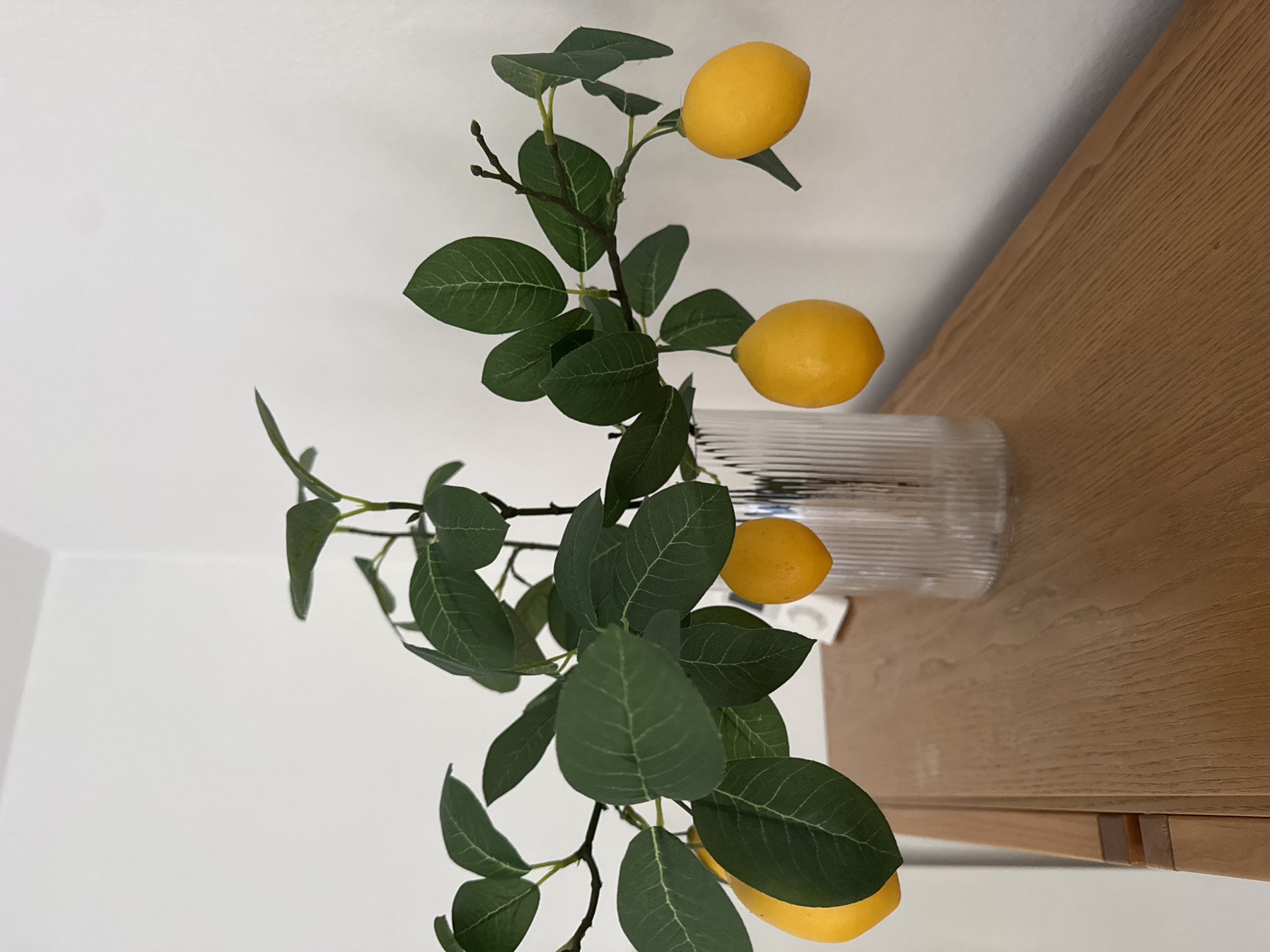 A still life image shows a sprig of artificial lemon branches with green leaves and yellow lemons in a clear, ribbed glass vase. The vase is placed on a wooden surface, likely a tabletop or dresser. The background consists of a plain white wall. The lighting is bright and natural, suggesting it was taken indoors during the daytime. There are no people or animals present in the image. The scene is static and peaceful. The location in the city of Rheine, Germany, is not specified or inferable from the visual elements of the image.