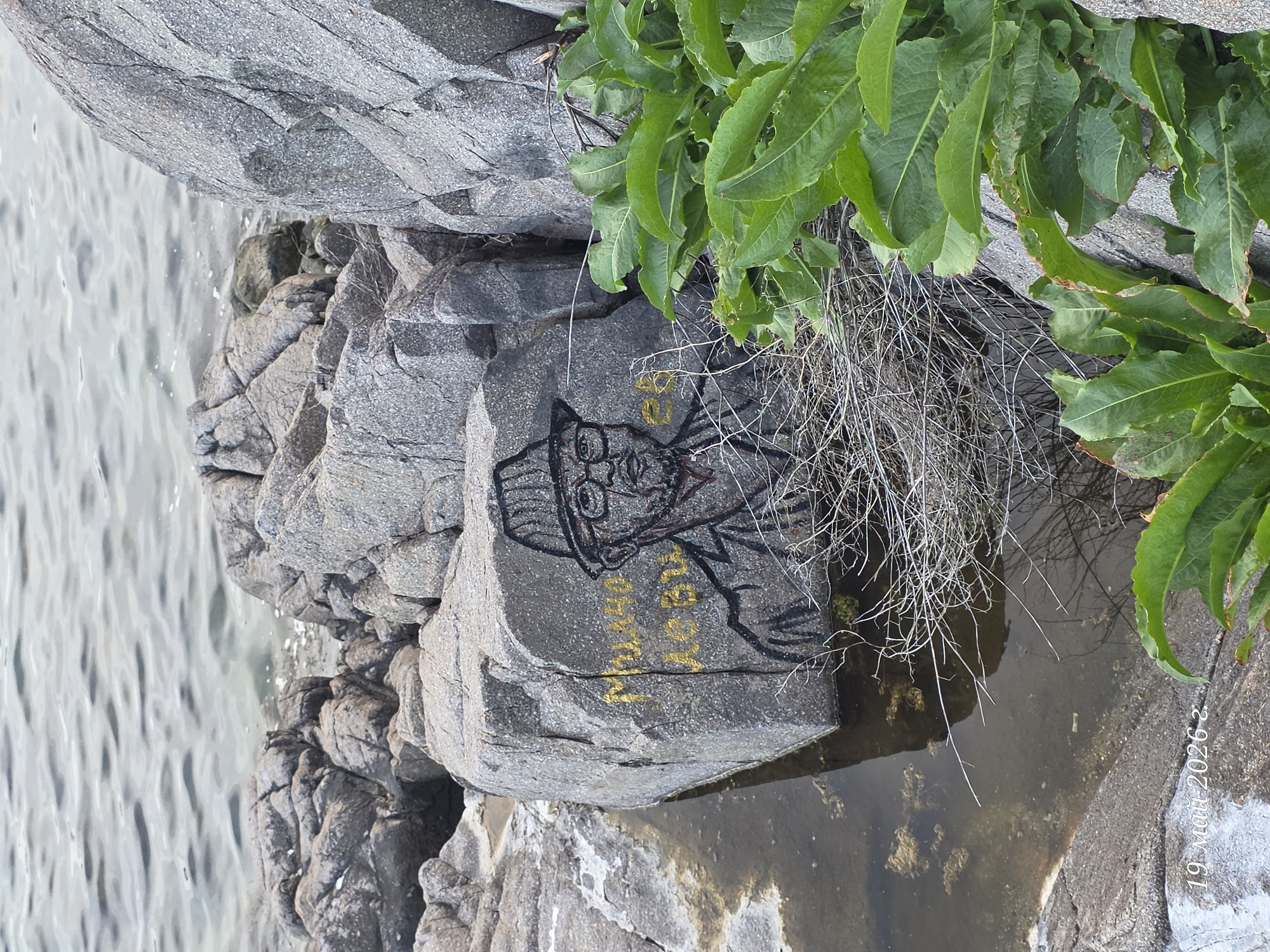 A rock face on the coast in Sozopol, Bulgaria, is partly submerged in water. A gray stone in the rock face is adorned with black graffiti depicting a cartoon-like person wearing a hat and glasses. Yellow graffiti text is also visible under the drawing. Patches of green plants and dry, sparse brush grow near the graffiti. The date "19 Mai 2026" is printed on the lower right corner of the image. The sea laps against the rocks on the left of the image.