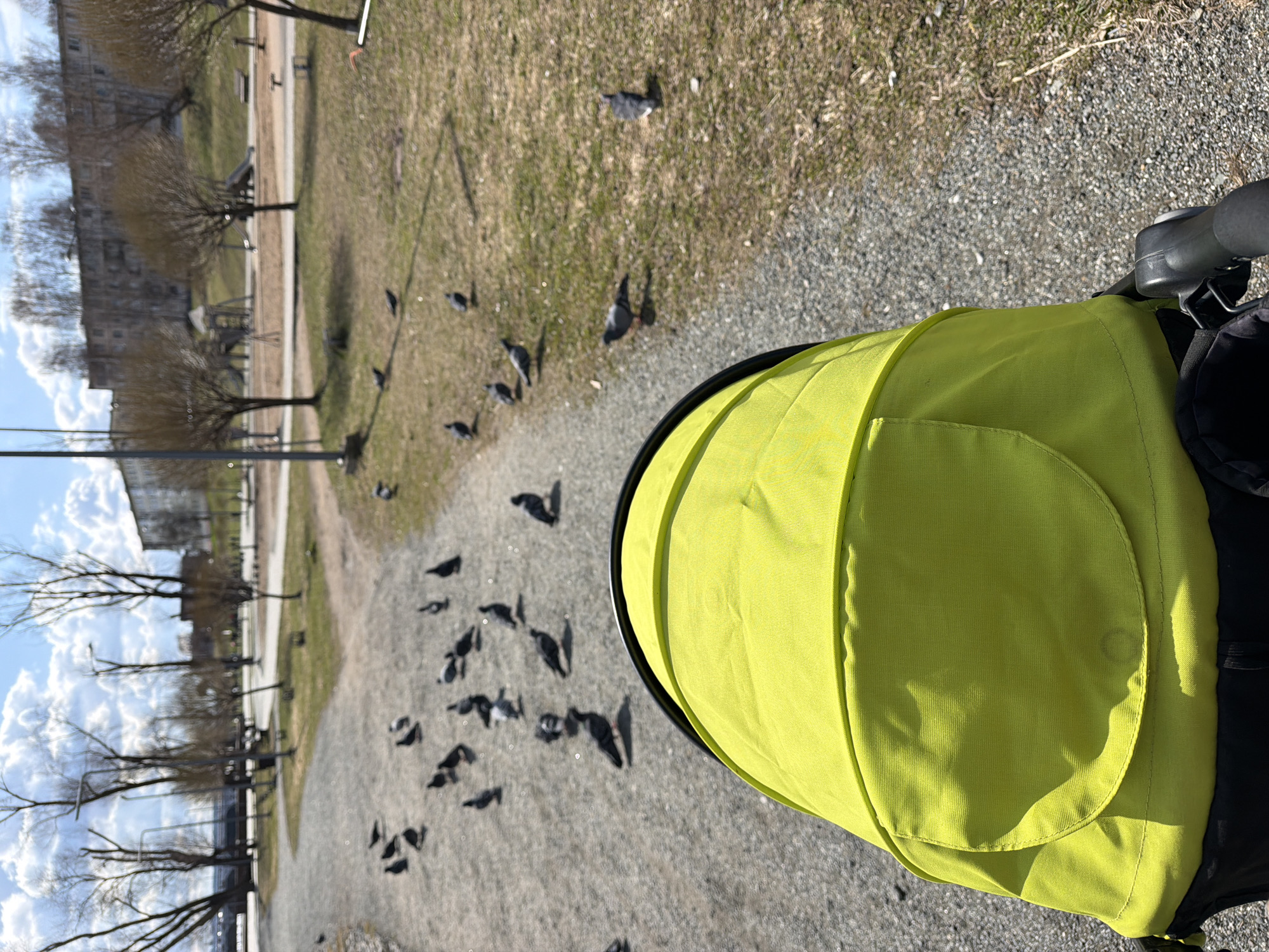 The image shows a scene in a park in Votkinsk, Russia, taken from the perspective of someone pushing a stroller. The stroller's bright yellow canopy is visible in the foreground. In the background, there is a gravel path with a flock of pigeons. Beyond the path is a grassy area with scattered trees and a playground. In the distance, there's a building under a partly cloudy sky.