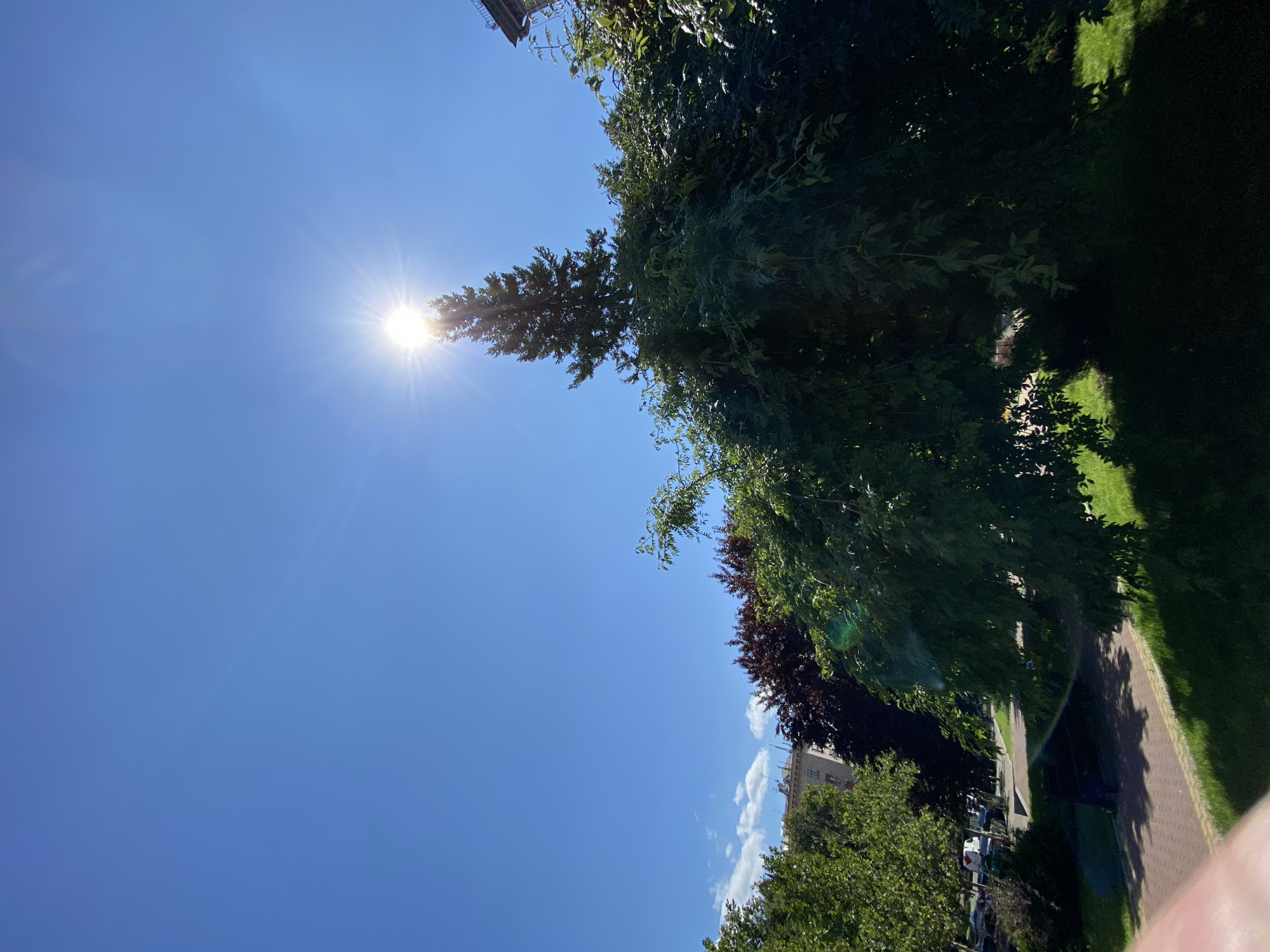 The image is a medium shot of a park scene on a sunny day. The sky is clear and blue, with the sun prominently featured near the top center of the frame, creating a sunburst effect. A tall evergreen tree stands behind a large, leafy deciduous tree that dominates the foreground. The deciduous tree's branches hang low, casting shadows on the grassy area below. To the left, there are other trees with dark red leaves, and a building can be seen peeking through. In the lower left quadrant, a brick pathway with yellow edging leads through the park. A park bench is visible on the grass to the left of the pathway, and parked cars are visible in the background beyond the trees on the left. The image appears to be taken from a slightly elevated perspective.