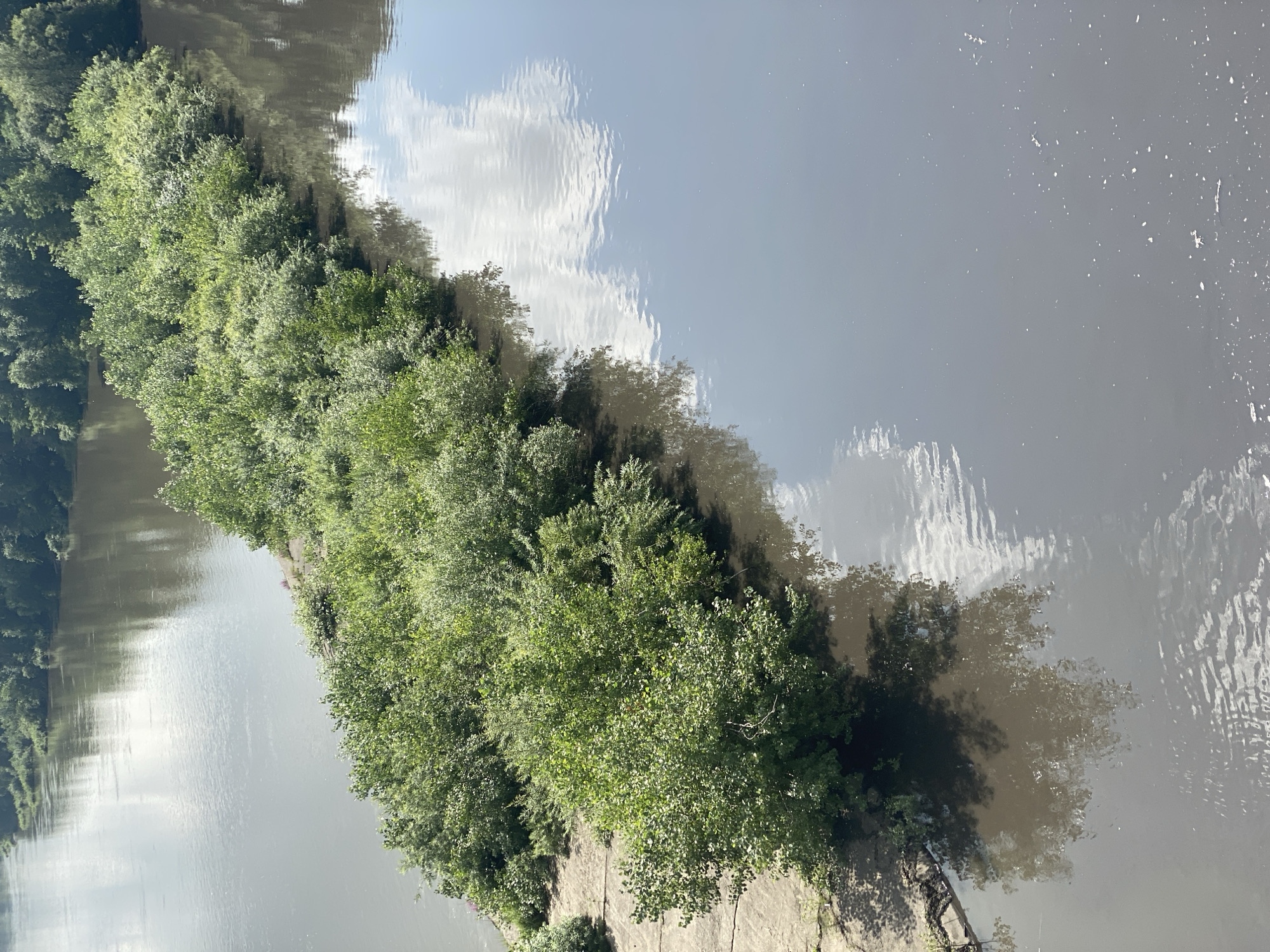 This is an aerial view of a muddy river with a vegetated island in the middle. The island is densely covered with green trees and bushes. The river reflects the sky, including some white clouds. The water is murky, suggesting it may be polluted or carrying sediment. The scene appears to be natural and undeveloped, lacking any signs of urban infrastructure or human activity in the immediate vicinity. The location is identified as Novokuznetsk, Russia.