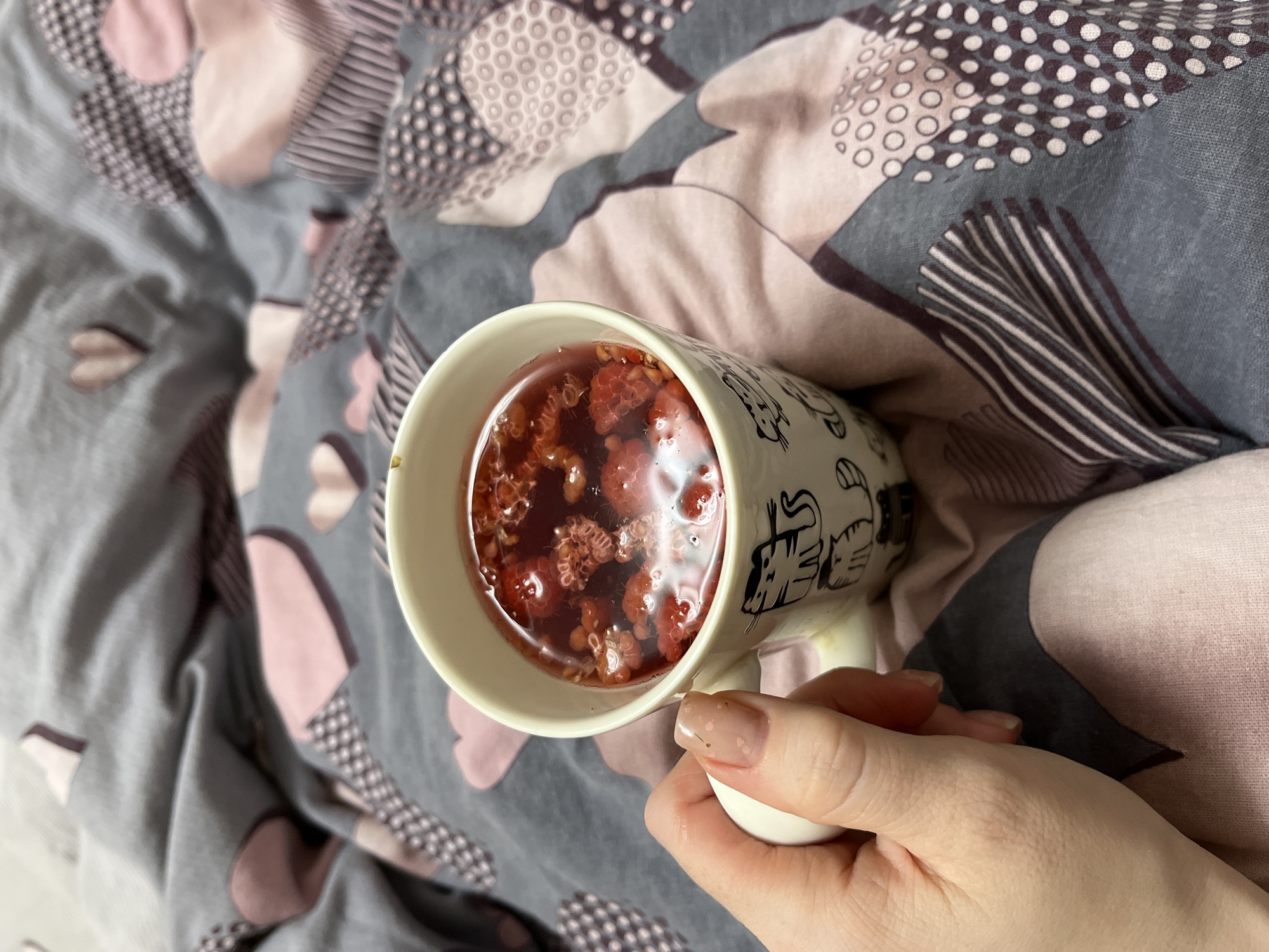 A photograph depicts a person holding a mug of raspberry tea over a patterned duvet cover. The mug is white with black animal outlines. The tea appears dark red in color, filled with whole raspberries. The person's hand is pale with manicured nails. The duvet cover has a gray background with light pink shapes and darker gray patterns. The location is speculated to be in the city of Chaikovsky, Russia.