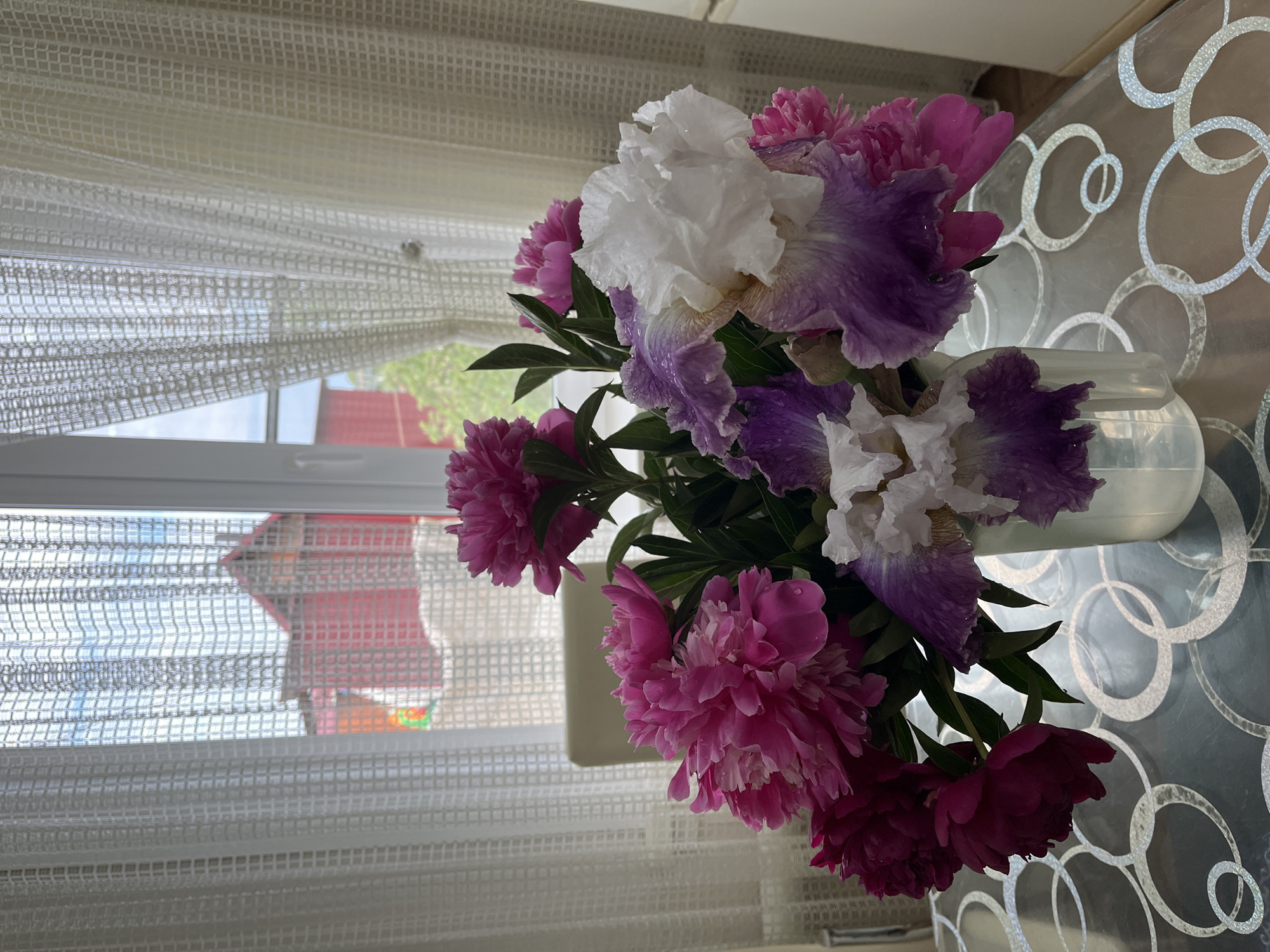 This image captures a still life scene of a floral bouquet placed on a reflective table in an indoor setting within Novocheremshansk, Russia. The central subject is a bouquet contained within a clear glass vase, comprising numerous pink peonies, ranging from magenta to lighter pink hues, and several irises displaying white, light purple, and dark purple coloration. Small water droplets are visible on some flower petals. The table surface is dark and glossy, patterned with overlapping, interconnected silver-white rings. Behind the bouquet, a large window is visible, covered by white, sheer curtains with a distinct square grid pattern. Through the partially obscuring curtains, the outdoor environment is blurred, revealing a prominent red-walled building with a red roof in the middle distance, surrounded by green foliage, likely trees or bushes. Below the red building, a patch of white material, possibly snow, is visible on the ground. A light-colored chair back is faintly discernible through the left portion of the curtain. No individuals are present in the image.