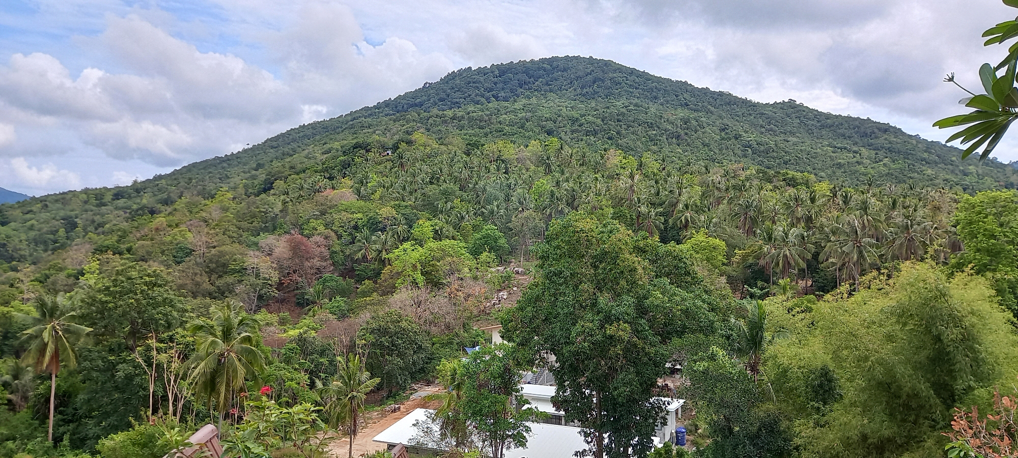 The scene is a wide-angle shot of a lush, green landscape in Baan Tai, Thailand. A large, rounded mountain covered in dense forest dominates the background. Lower elevations of the mountain feature palm trees intermixed within the dense vegetation. A building with a white roof is visible in the foreground, partially obscured by trees. Bamboo foliage is also evident near the right edge of the image. The sky is cloudy, with varying shades of white and grey.