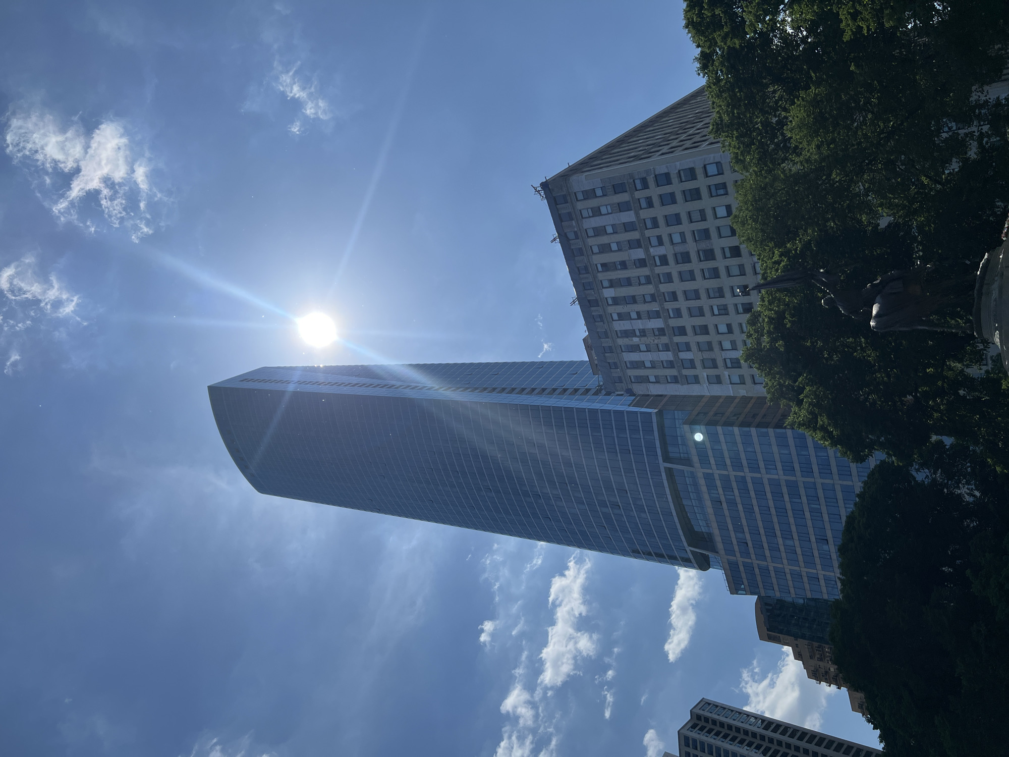 The image shows a low-angle view of several buildings in an unknown city, with a clear blue sky featuring scattered white clouds and the sun shining brightly. The main building is a tall, modern skyscraper with a curved top and reflective windows. A more conventional high-rise building with a grid-like facade is located adjacent to the skyscraper. The branches of a large tree partially obscure the view of the buildings on the right side of the frame.