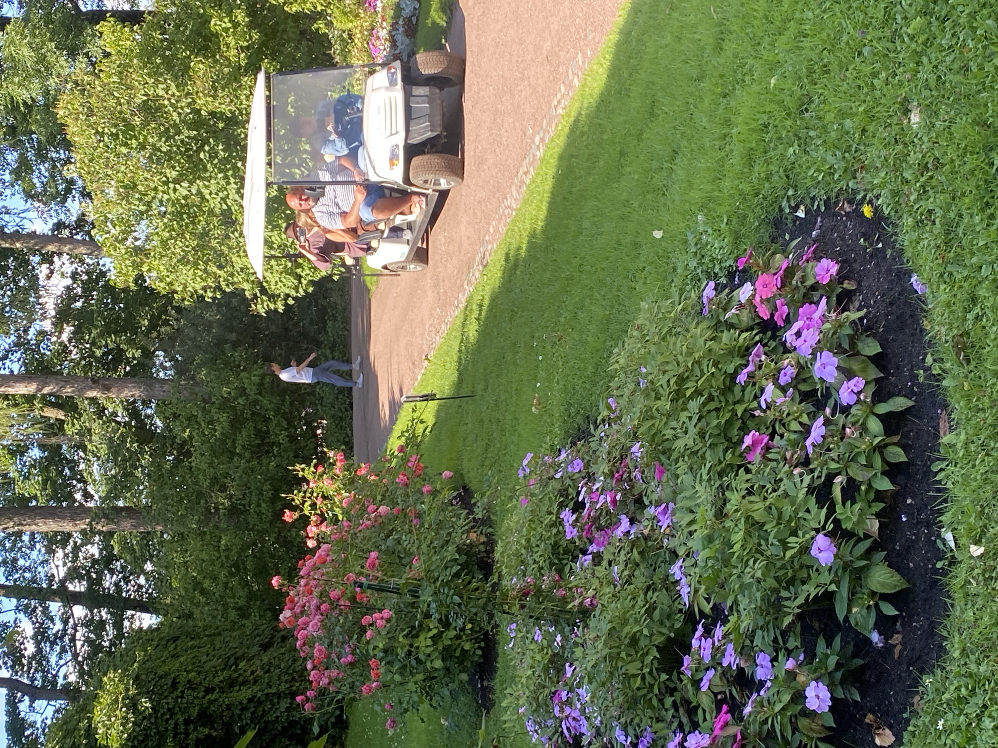 The image depicts a sunny day scene in a park, likely located in the city of Pushkin, Russia, possibly near Catherine Palace, known for its manicured gardens. In the foreground, a bed of pink and purple impatiens flowers is in full bloom, with lush green grass surrounding it. A large rose bush with abundant pink blossoms is visible to the left of the flower bed. In the middle ground, a white golf cart is driving along a reddish-brown path. The cart carries four people: a driver and three passengers. The passengers appear to be a man in a striped shirt and shorts, a woman in a hat, and another person whose face is obscured. Behind the golf cart, a person in a white t-shirt and blue pants is walking away from the camera. The background consists of a dense line of trees with sunlight filtering through their leaves. The overall atmosphere is peaceful and suggests a leisurely outing in a well-maintained garden.