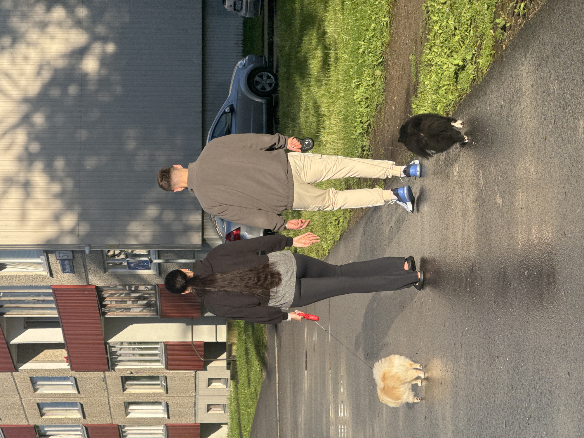 Two people, a woman and a man, are walking on a paved path next to a grassy area in front of a multi-story apartment building. The woman, on the left, has long dark hair and is wearing a black hooded sweatshirt and black leggings. She is holding a red leash attached to a small, fluffy light-colored dog that is walking in front of her. The man, on the right, is wearing a grey jacket and light-colored cargo pants. He is holding a black object, possibly a dog leash handle, in his right hand. A small, fluffy black dog is walking in front of him. The apartment building is a typical Soviet-era design with balconies and visible window panes. The ground is wet, suggesting recent rain. Sunlight casts shadows of trees onto the building's facade. The street sign visible on the building reads "Osmäe tee 57". Osmäe tee is a street in the Mustamäe district of Tallinn, Estonia.
