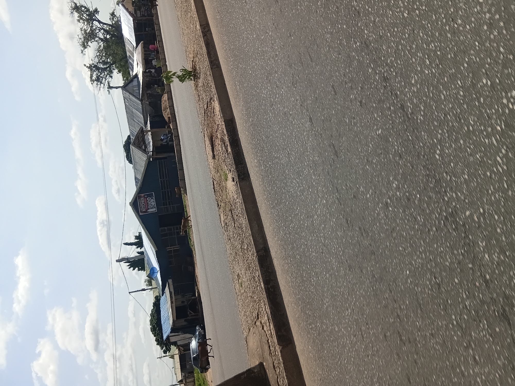 A wide shot shows a street scene in Jalingo, Nigeria. The road is paved and grey, with a concrete curb separating it from a dirt shoulder where a small tree grows. On the far side of the road, a row of single-story buildings with corrugated metal roofs are visible. Some buildings appear to be shops or businesses, with awnings and open fronts. One building has a sign with "KITCHEN" in red letters. There are a few people visible outside the buildings, and a car is parked in front of one. Several goats are walking on the road and the shoulder. The sky is a pale blue with scattered white clouds.