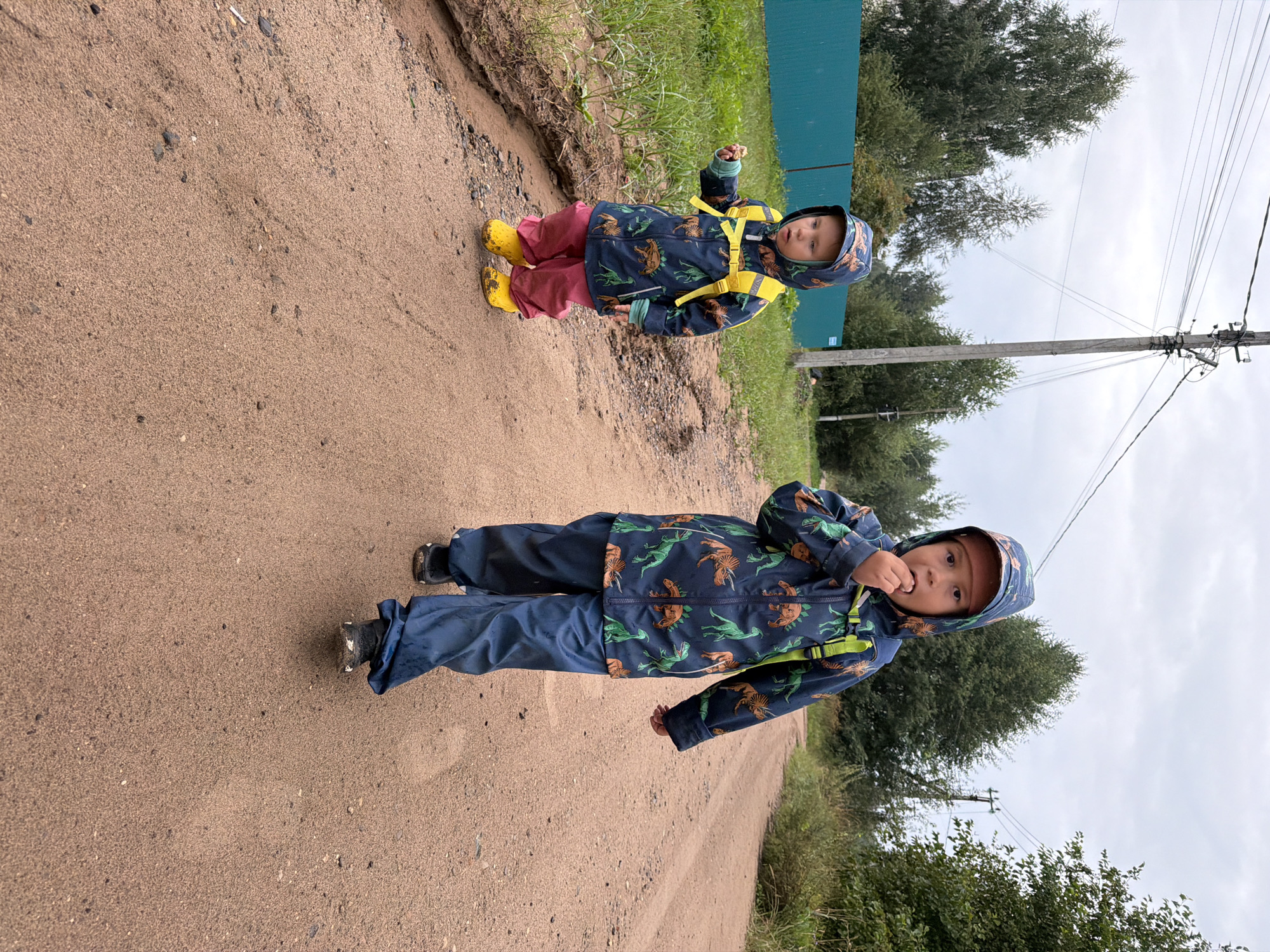 Two young children walk on a dirt road in a rural area, likely on the outskirts of Chaikovsky, Russia. The child in the foreground, larger of the two, wears a dark blue hooded jacket with a dinosaur pattern, navy blue rain pants, and black shoes. They are walking towards the viewer and have their right hand up to their mouth, eating something. The second child, smaller and to the left, wears a similar dinosaur-patterned jacket, pink rain pants, and yellow rain boots. This child is walking away from the viewer, looking to their left and holding something in their right hand. The road is sandy with scattered small stones. To the left of the road, there is a ditch with some muddy water and grass. Beyond the ditch, there is a turquoise fence, followed by grass and trees. In the background, power lines stretch across a cloudy sky. The overall environment suggests a slightly damp, overcast day in a natural setting.