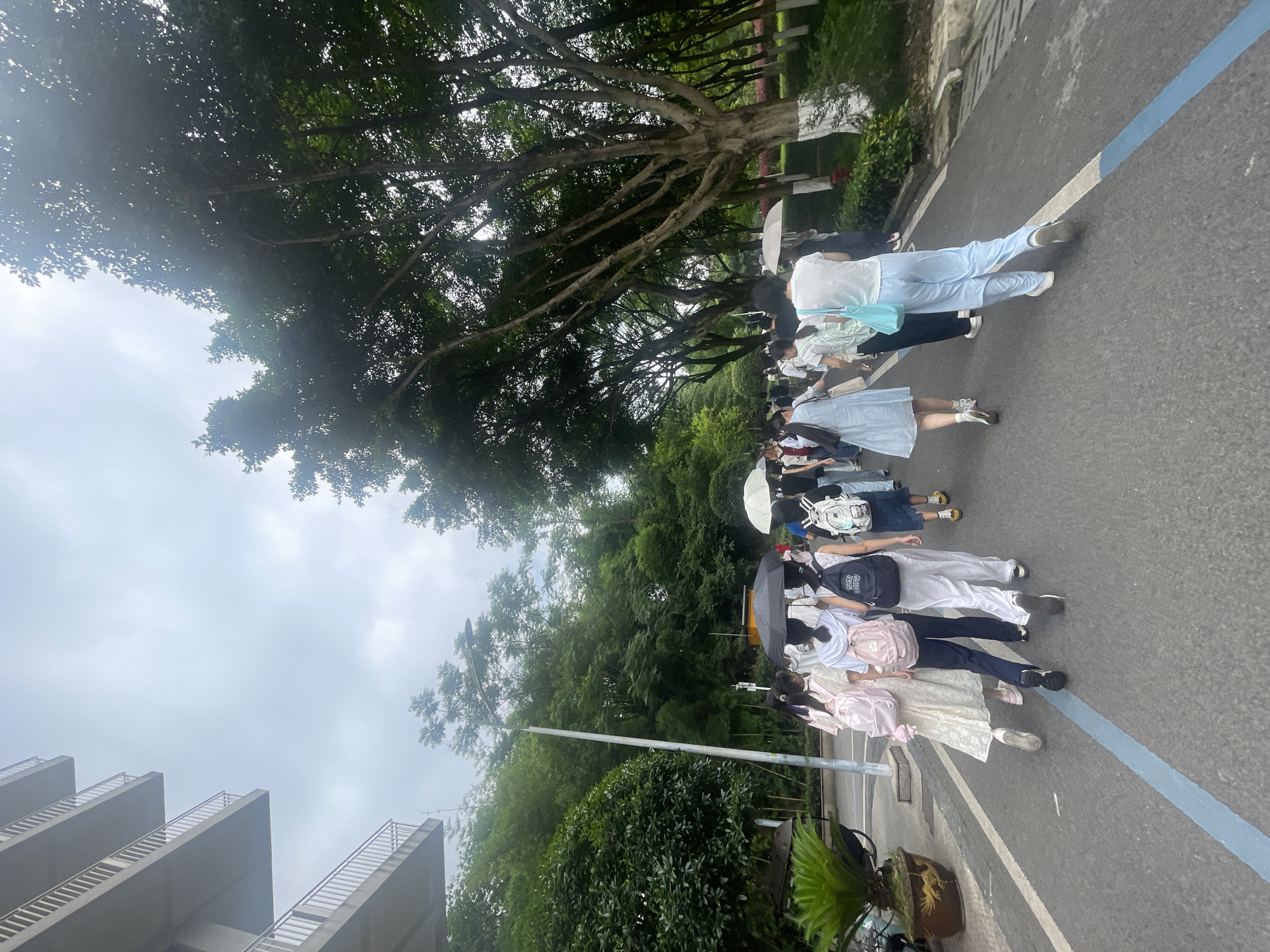 A vertical shot captures a line of people, primarily young adults or students, walking or queuing along a paved path in the Chongqing High-tech Zone, China. The outdoor scene is set under an overcast sky during daytime.
The path features a distinct blue line and a white line, possibly demarcating a lane or pedestrian area. To the right of the path (when correctly oriented), dense green trees and lush foliage create a natural canopy, with dappled light filtering through the leaves. Several large, mature trees with prominent, gnarled branches line the route. On the left side of the path, a modern multi-story building with angular, stepped balconies and railings is visible, suggesting institutional or educational architecture. A lamppost stands near the building.
The individuals are mostly viewed from behind or in profile, dressed in casual attire such as t-shirts, dresses, and pants. Many are carrying backpacks of various colors, including white, pink, black, and blue, suggesting they might be students. Several people are holding open umbrellas, both white and black, potentially for sun protection or light rain. Notable attire includes light blue pants and a white shirt with a light blue shoulder bag on one individual, and a long white dress with a pink backpack on another. A potted plant in an ornate container is placed by the roadside in the foreground.
The activity appears to be an organized movement or gathering of people, possibly students on a campus. No specific emotions are discernible. No legible text is visible on clothing or objects.