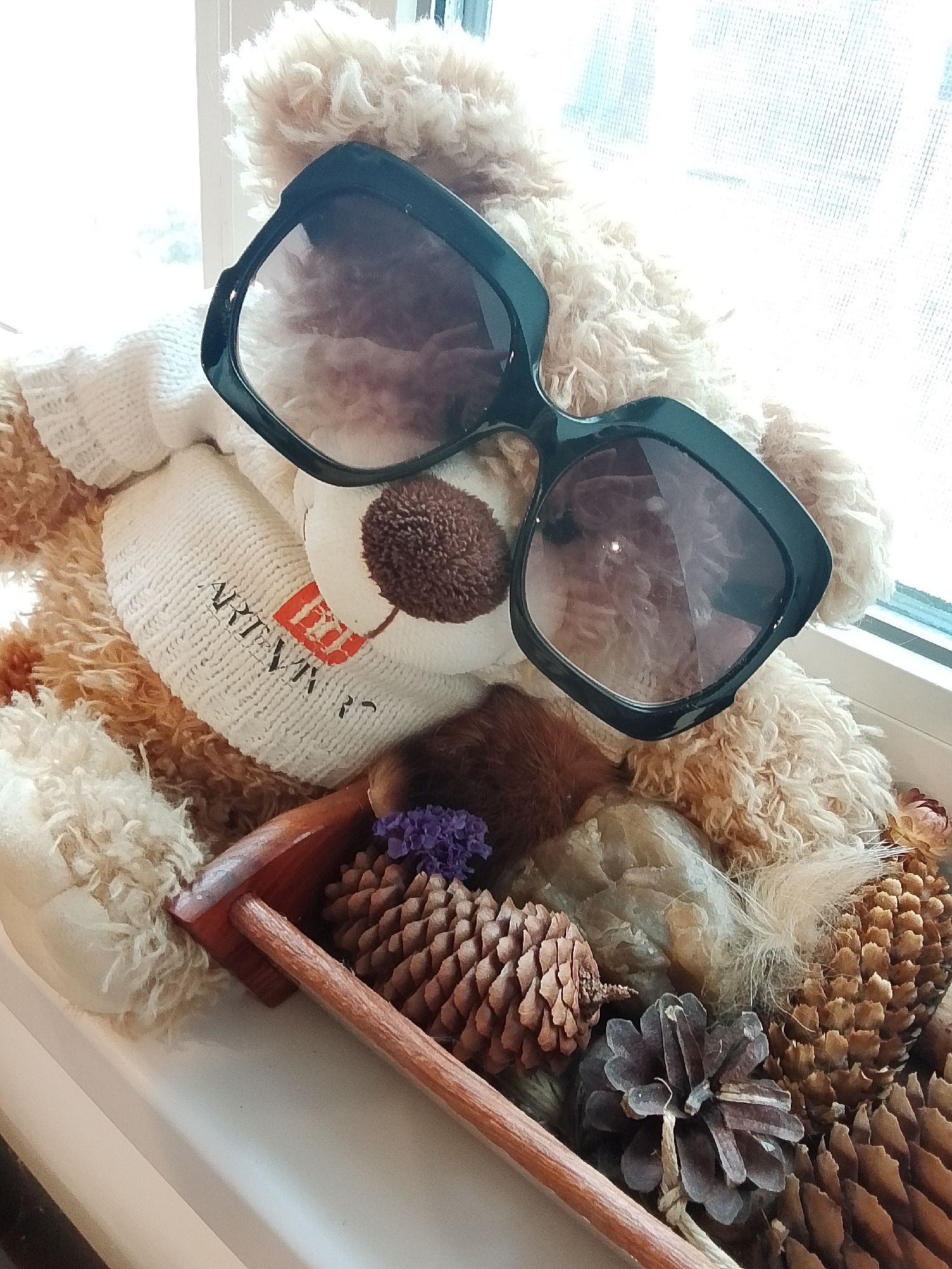 A teddy bear wearing a white knit scarf and large black sunglasses is positioned in front of a window. Below the bear is a wooden tray containing pinecones, small purple flowers, and other dried natural elements. The scene appears to be indoors. There is no indication of 1-Go Maya, Russia.