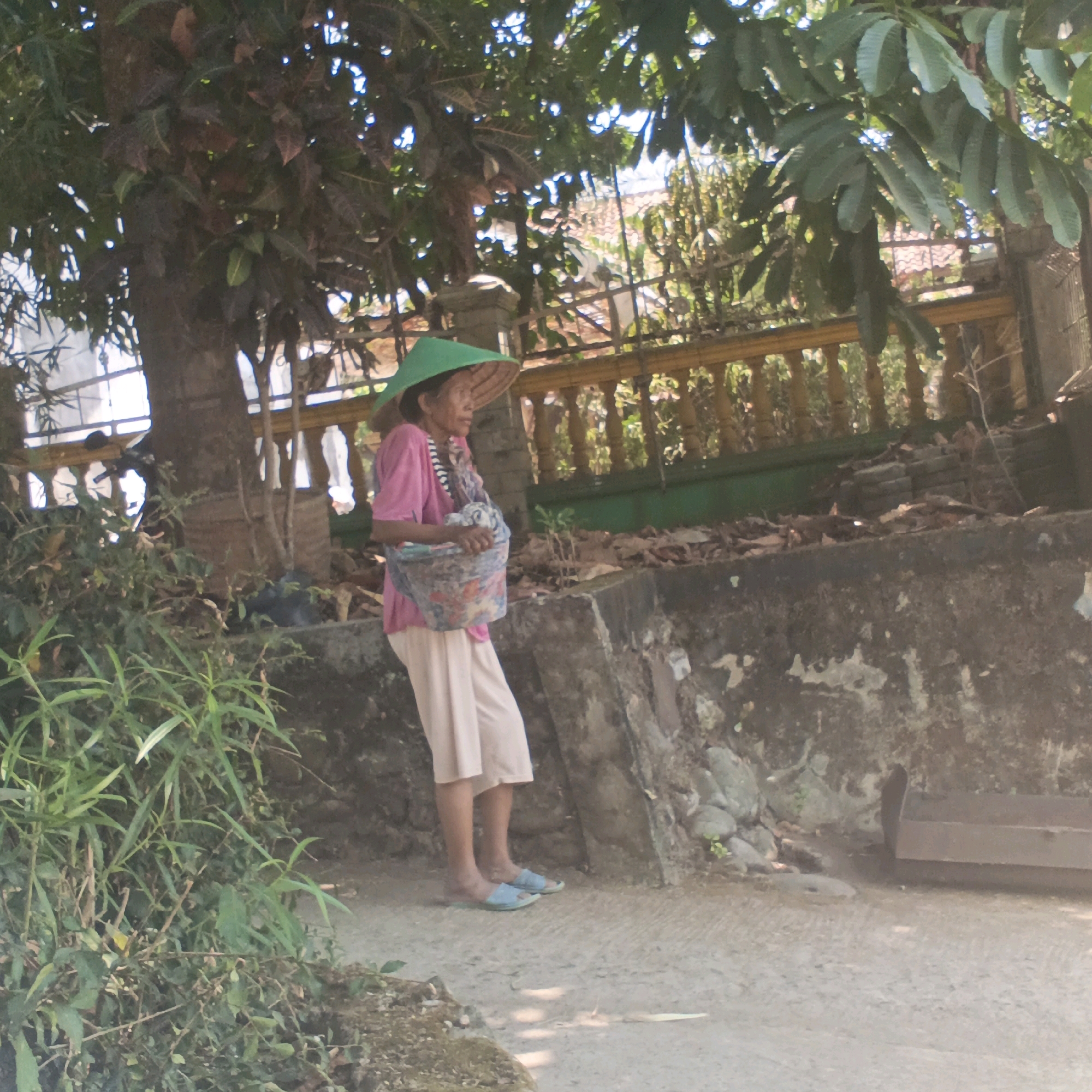 A woman wearing a wide-brimmed green hat and a pink shirt stands on a dirt path, holding a patterned bag. She is wearing light-colored pants and blue sandals. The woman is outdoors, with lush green foliage to her left and a stone wall with a yellow railing behind her. In the background, there are trees and a building with a tiled roof. The scene appears to be in a rural or suburban area, possibly in or around Mangli, Indonesia, suggested by the woman's attire and the tropical vegetation.