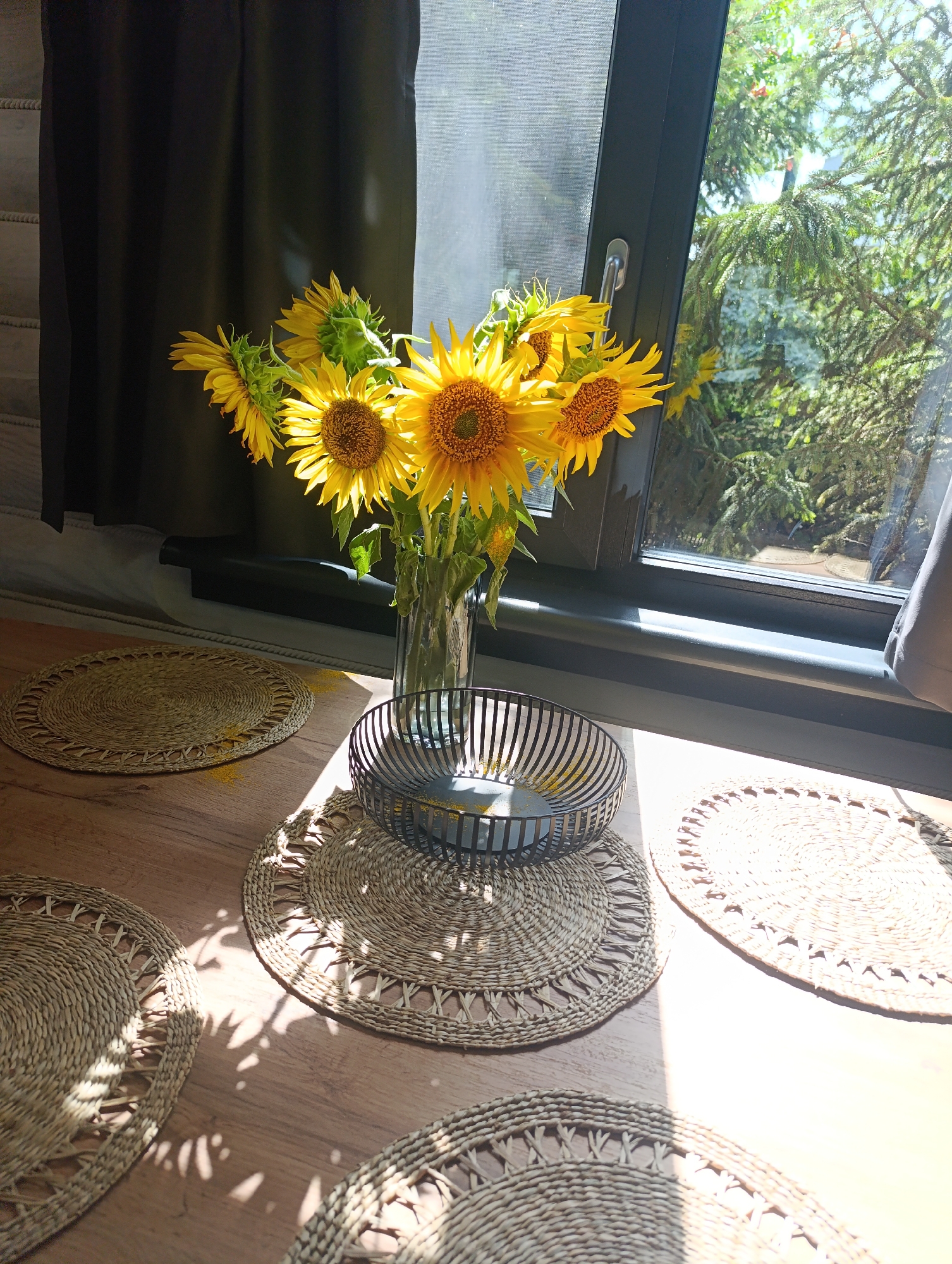 A still life composition is presented on a wooden table. In the upper left portion of the frame, a bouquet of sunflowers in a clear glass vase is placed near a dark curtain and a window. Sunlight streams through the window, casting shadows on the table and illuminating the scene. Several round, woven placemats are arranged on the table. A black wire basket sits on top of one of the placemats. The background features a view of green foliage through the window, suggesting an outdoor environment. The image appears to be taken indoors, near a window, with natural light being a prominent element. There are no people or animals visible in the image. The setting is likely domestic, given the presence of table settings and home decor. The location of Bulatselivka, Ukraine, is noted as a potential setting, but there are no specific visual cues within the image to confirm this geographical context.