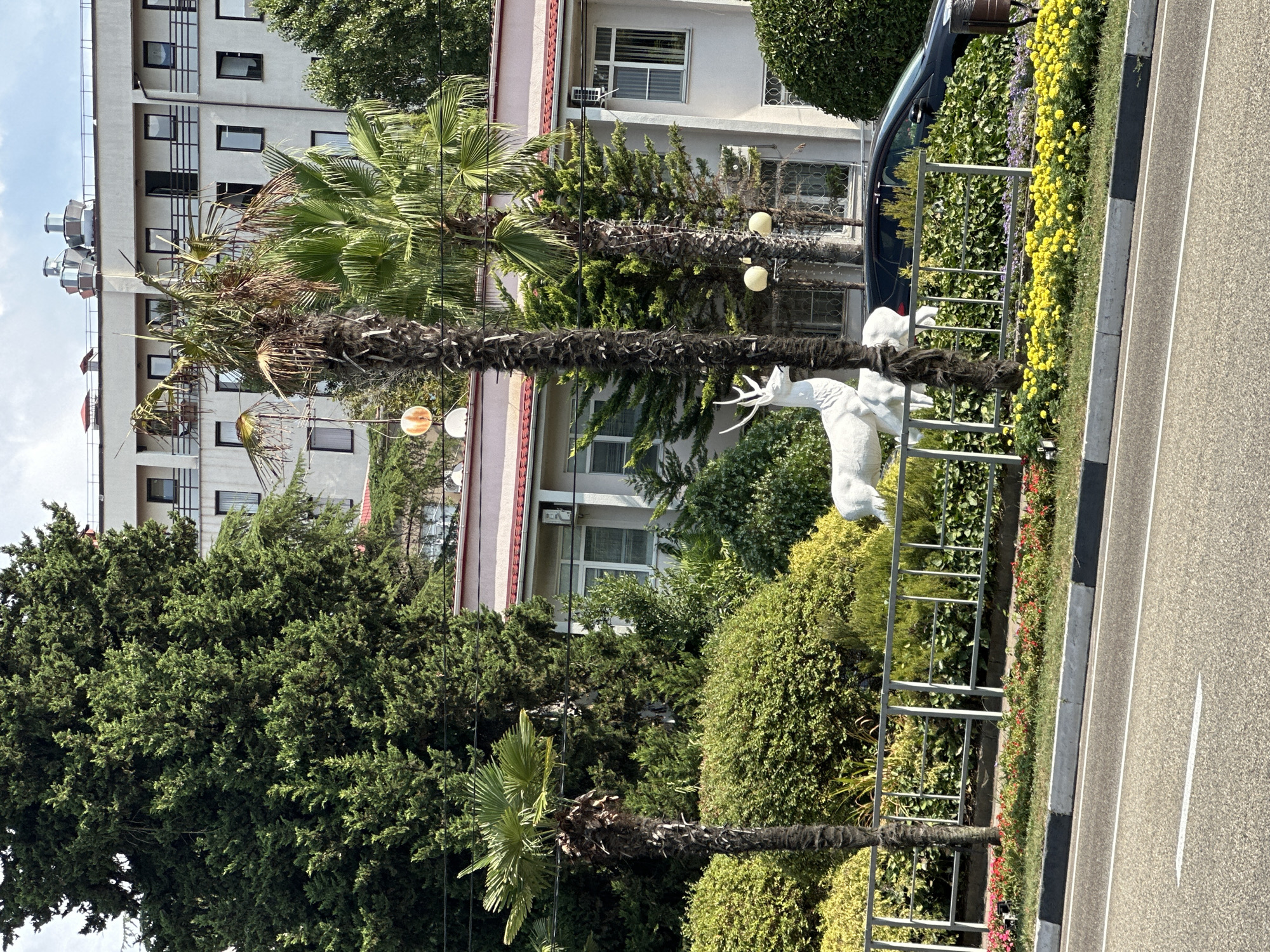 This is a medium shot of a white deer statue situated in a garden area in Sochi, Russia. The deer statue is positioned centrally, facing to the right, with its antlers prominently displayed. Behind the statue, a black car is visible, partially obscured by a metal fence. The garden features a variety of green bushes and flowering plants, with yellow flowers blooming in the foreground. Palm trees and other tall green trees are interspersed throughout the scene. In the background, a multi-story building with many windows and balconies stands under a bright, cloudy sky. A paved road with white lane markings is in the foreground, indicating the presence of a street.