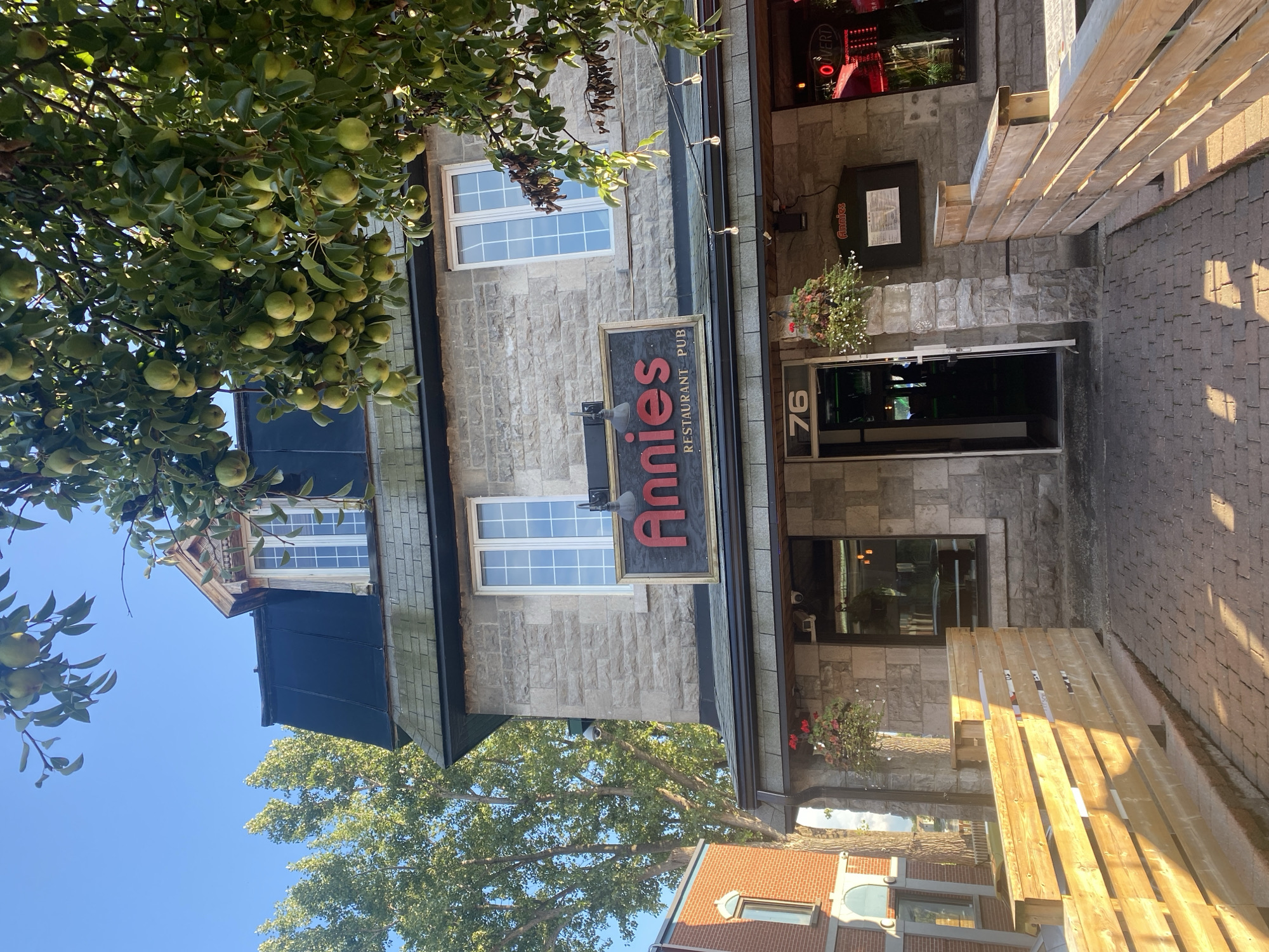 The image shows the exterior of Annie's Restaurant Pub, a stone building located at 76 Sainte-Anne Street in Sainte-Anne-de-Bellevue, Canada. The restaurant's sign, with red lettering spelling "Annie's," is visible above the entrance. A wooden fence with horizontal slats is positioned in front of the building, bordering a brick walkway. In the foreground, the shadow of the fence creates a striped pattern on the walkway. A tree laden with green pears hangs over the building in the upper right portion of the image, with its branches and fruit obscuring parts of the sky and roof. The sky is clear and blue, and trees with green foliage are visible to the left of the restaurant. The building features multiple windows, including dormer windows on the mansard roof. There is a hanging basket with red flowers near the entrance. The overall scene depicts a sunny day with warm lighting, suggesting it was taken in the late afternoon or early evening.