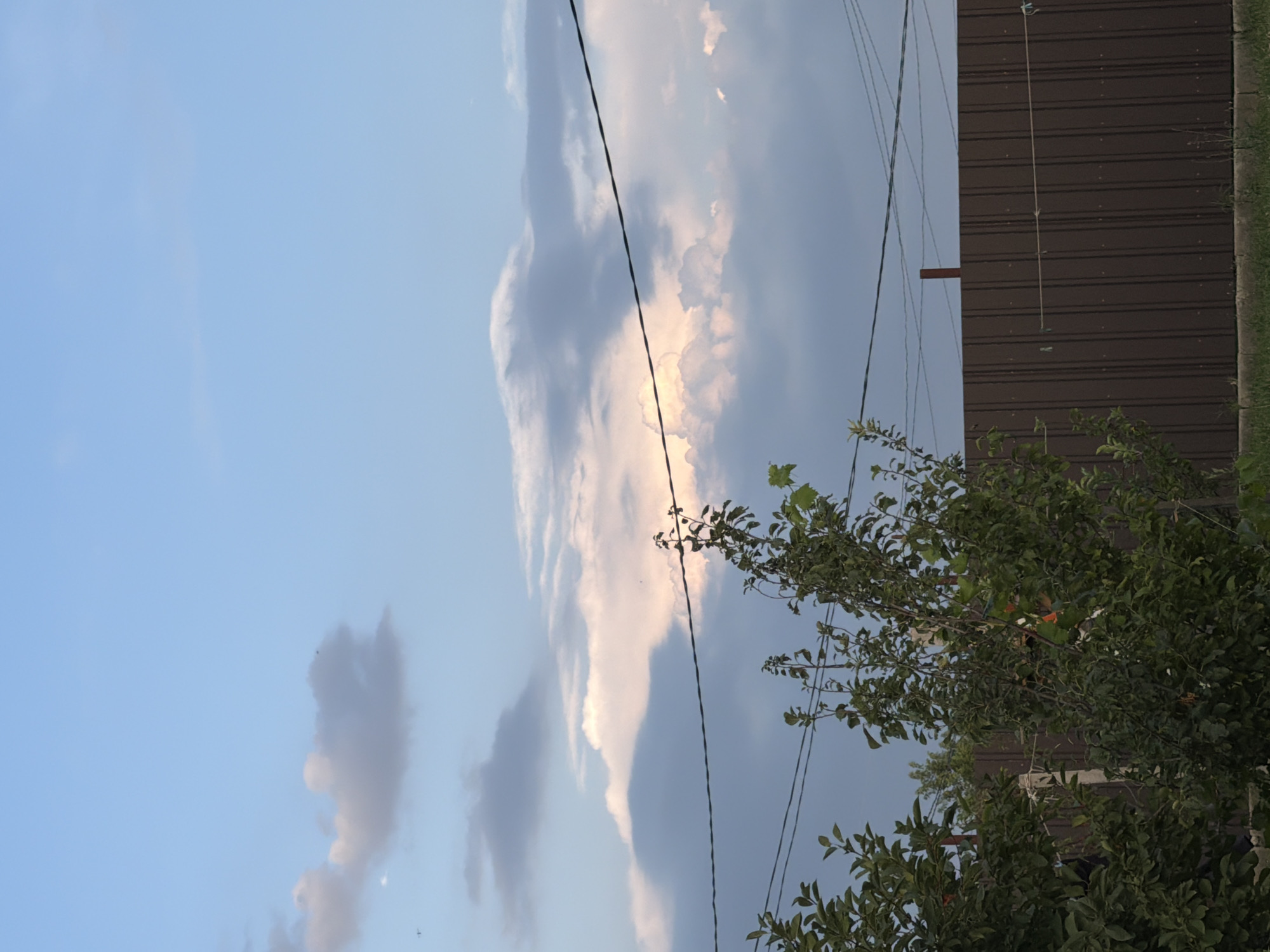 The image shows a view of a suburban backyard with a brown corrugated metal fence in the foreground. Lush green trees and foliage are visible on the left side of the frame, with some branches extending towards the fence. Several wires, likely for electricity or communication, are strung across the upper portion of the image. The sky above is a mix of blue and grey, with soft, diffused clouds that appear to be illuminated by the sun, suggesting either sunrise or sunset. The scene is tranquil and lacks any human presence or discernible activity. The location is not identifiable as being in Tbilisi, Georgia.