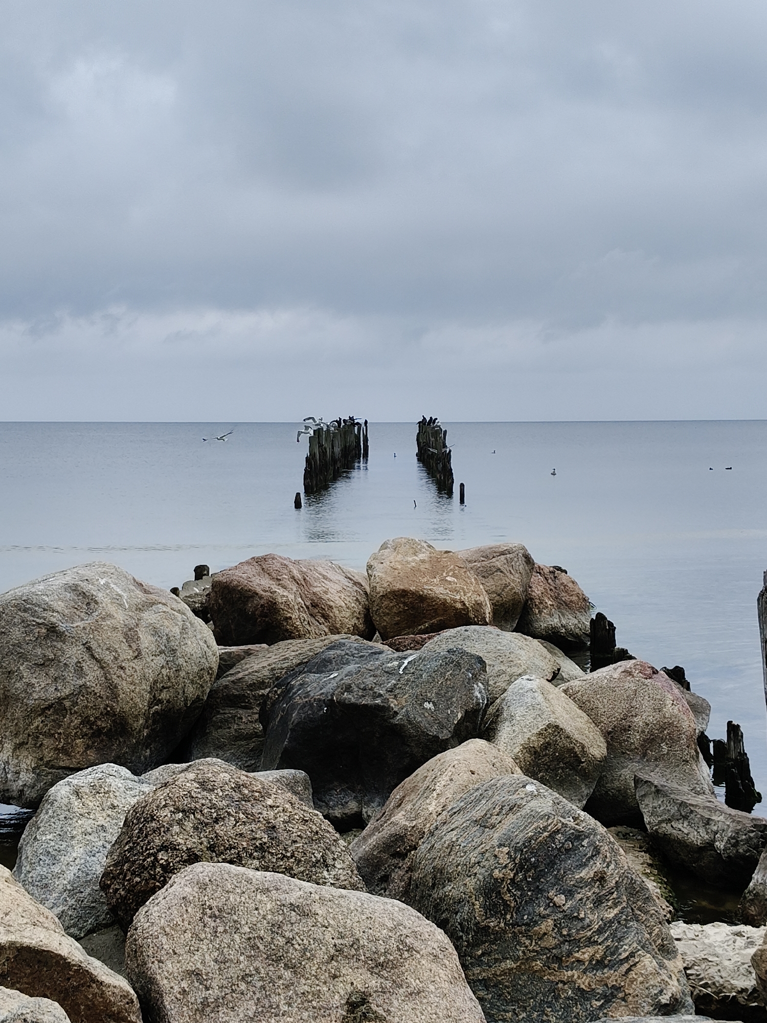 The image depicts a coastal scene in Bigauņciems, Latvia, characterized by a stony beach leading to a calm sea under an overcast sky. In the foreground, a jumble of large, weathered rocks of various sizes and colors dominates the scene, with some appearing wet from the sea. These rocks are rough in texture and their surfaces exhibit natural striations and speckles.
Beyond the immediate foreground, a body of calm, grey water stretches to the horizon. In the distance, a weathered wooden pier or breakwater structure extends into the sea, with several vertical posts remaining intact. A few birds are visible perched on the remaining posts of the structure, and some are in flight over the water. The water appears still and reflects the muted tones of the sky. The sky itself is uniformly grey and cloudy, suggesting a cool, possibly damp day. The overall atmosphere is somber and tranquil.