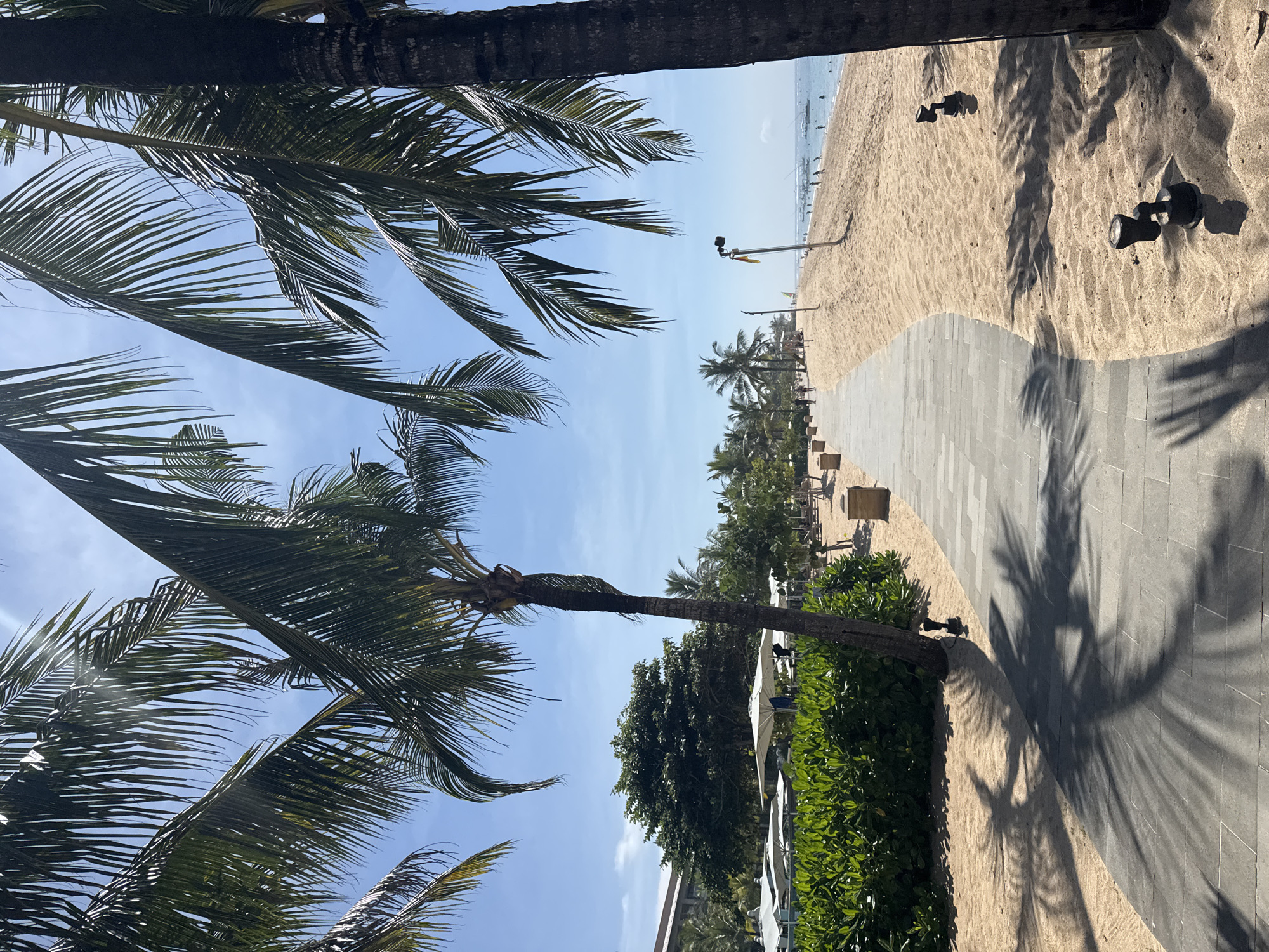 The image shows a beach scene in an unknown location. Palm trees frame the view of a sandy beach stretching to a calm, bright blue ocean. A paved pathway extends from the foreground, lined with beach vegetation on one side and sand on the other. Small spotlights are positioned on the sand alongside the path. In the distance, indistinct figures are visible on the beach. The overall atmosphere is bright and sunny.