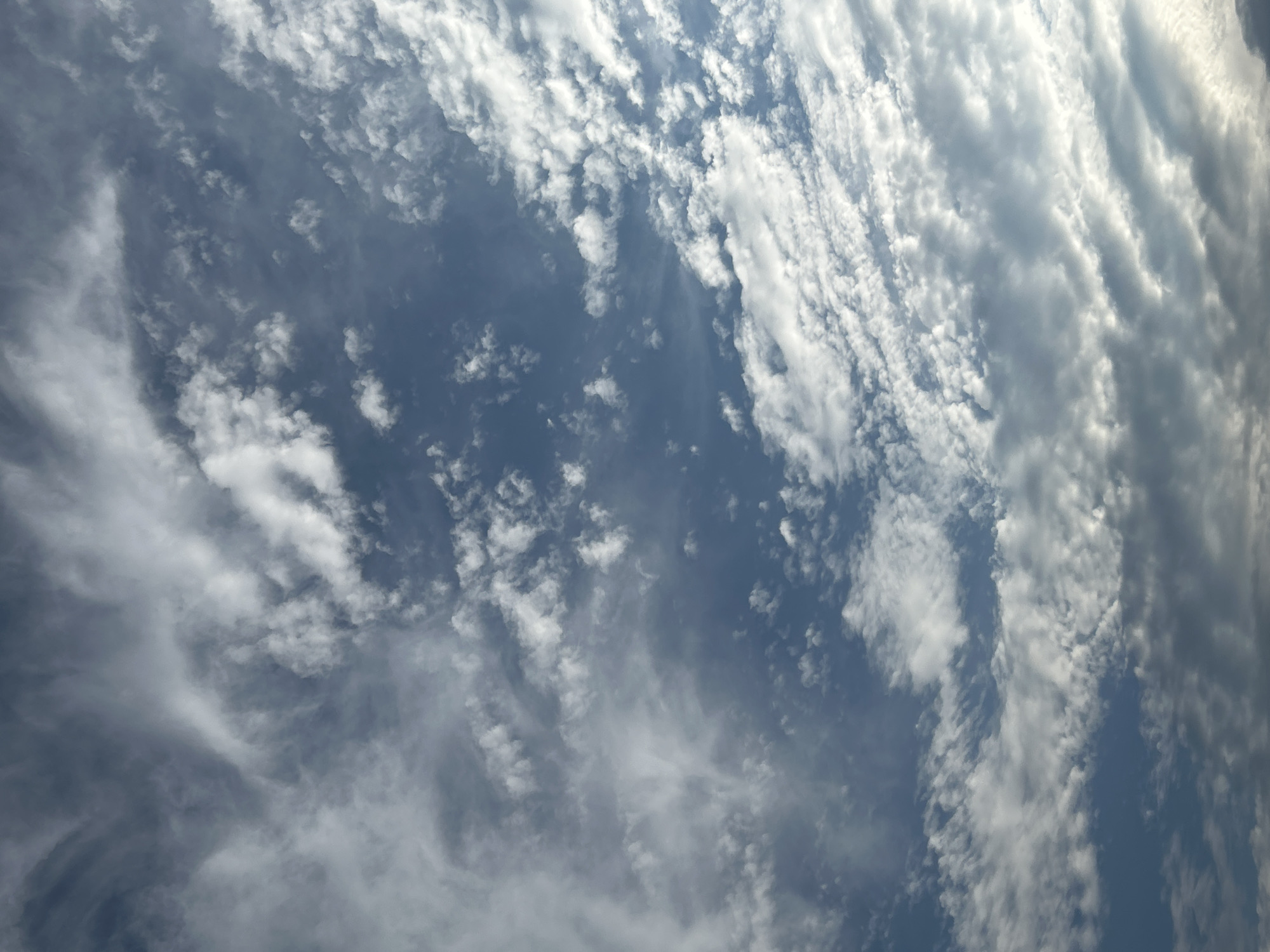 The image depicts a sky filled with a variety of clouds, ranging from wispy cirrus formations to more textured cumulus clouds. The sky is a deep blue, indicating daylight, and the clouds are predominantly white and grey, suggesting some thickness and possibly moisture content. The lighting suggests the sun may be partially obscured or low on the horizon, casting a soft illumination on the cloudscape. There are no people, structures, or any discernible elements of the city of Zelenograd, Russia, visible in the frame; it is an unobstructed view of the sky.