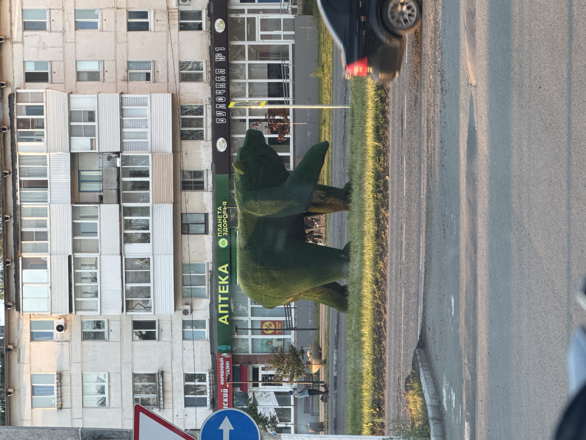 This image captures a street scene in Chaikovsky, Russia, during what appears to be late afternoon or early morning due to the golden sunlight and long shadows. The weather is clear and sunny.
In the foreground, a large, dark green topiary sculpture of a bear stands prominently on a grassy verge next to a road. The bear is in a walking or standing posture, facing slightly towards the left of the frame. To the right of the bear is a paved road with visible lane markings, and a black car is partially visible on the road, moving away from the viewer.
Behind the bear and the grassy verge, there is a multi-story building, likely an apartment block with ground-floor commercial establishments. Its facade is a light, neutral color, featuring numerous windows and balconies, some enclosed. A person is faintly visible standing near an entrance on the ground floor, behind the bear sculpture.
Visible text on the building identifies commercial entities. A prominent green sign displays "АПТЕКА" (Pharmacy) and part of "ПЛАНЕТА ЗДОРОВЬЯ" (Health Planet). Above another entrance, a dark sign reads "БУЛОЧНАЯ № 1" (Bakery # 1). A red sign below the pharmacy contains partial text, "ИЙ ФИРМЕННЫЙ магазин," indicating a "branded store." A window advertisement displays a red circle with a "10%" discount.
Partially visible traffic signs in the bottom left corner include a red triangular sign (likely a yield or warning sign) and a blue circular sign with a white arrow pointing upwards, indicating "straight ahead."