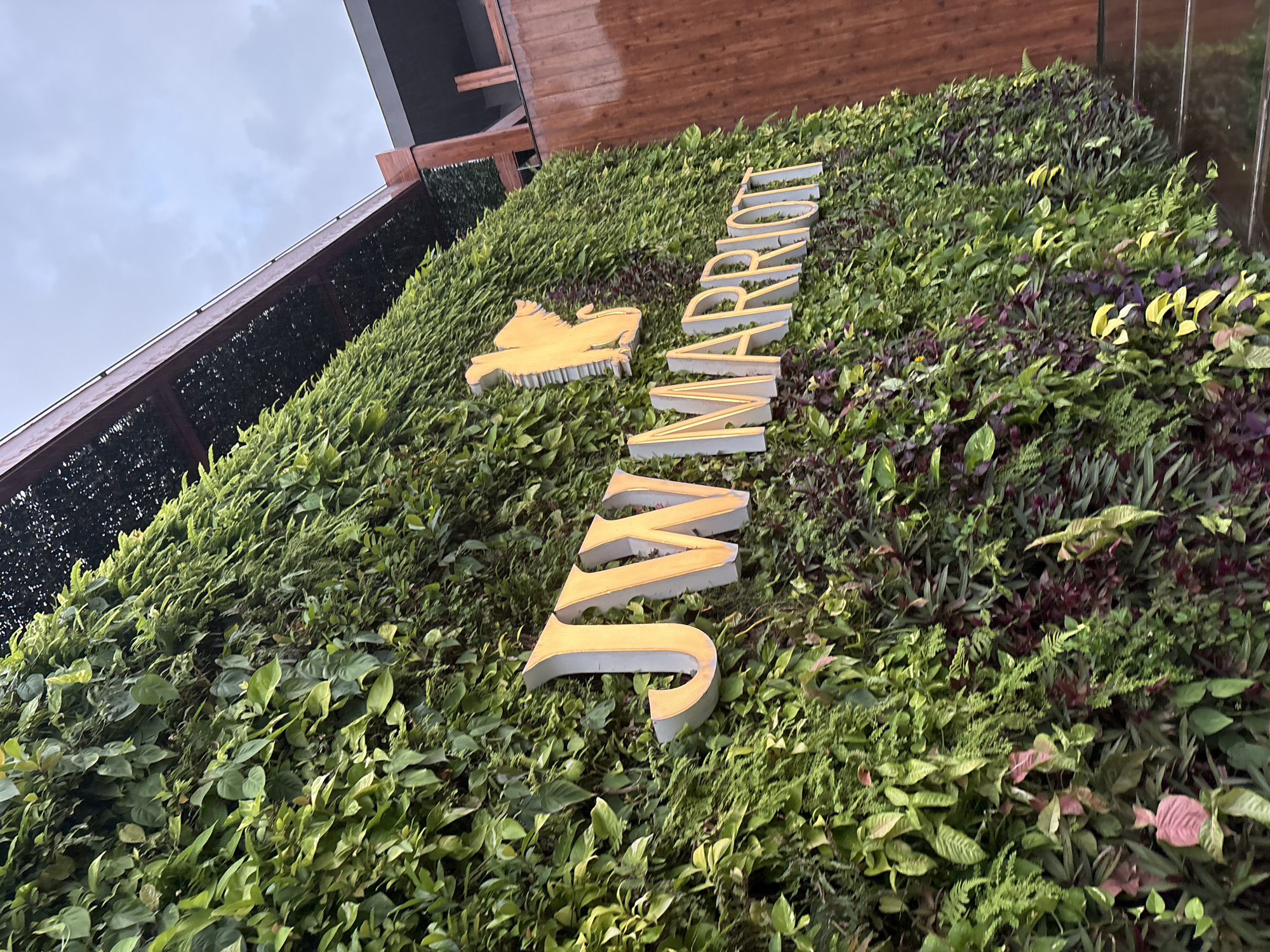The image shows a vertical garden wall with the JW Marriott logo prominently displayed in gold lettering. The garden features a variety of green and purple foliage. Above the garden, a wooden overhang with a dark lattice pattern is visible. To the right of the garden, a wooden-paneled structure and a staircase are present. The sky is overcast with a cloudy atmosphere. This is the entrance to the JW Marriott Goa, located in Vagator, India.