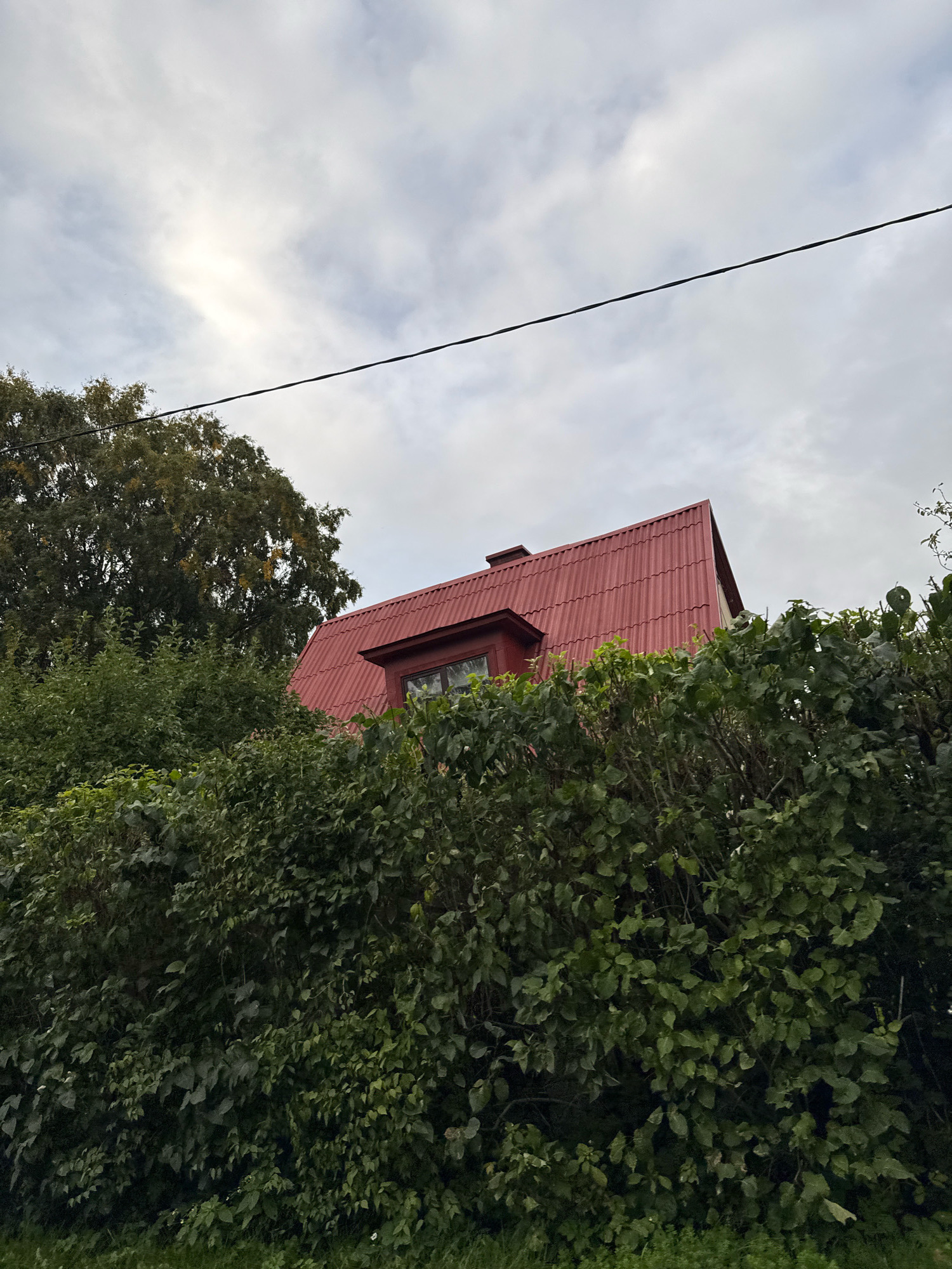 A low-angle, medium shot captures the upper portion of a red-roofed house peeking through dense, dark green foliage. The corrugated red roof slopes upwards and features a small, dormer-like window with a dark frame. A single, dark chimney protrudes from the roofline. A dark power line stretches diagonally across the upper portion of the frame against a cloudy, overcast sky. The foliage in the foreground and midground appears to be a mixed hedge with lush green leaves. In the upper left quadrant, the dark green leaves of a large tree are visible. The scene suggests an outdoor, possibly residential setting, with the greenery obscuring the base of the house. The lighting is diffused, consistent with an overcast day. The image does not contain any people or animals. The context of Tallinn, Estonia, is not evident from the visual information in the image itself.