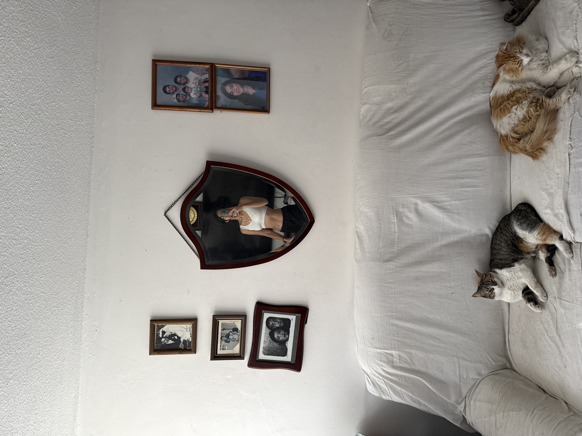 The image captures an interior space, likely a bedroom, within a residence in Puebla, Mexico. The wall is painted white with a textured surface. Arranged on the wall are three sets of framed pictures: two smaller ones at the top, one a family portrait and the other of a single woman; a larger, shield-shaped mirror reflecting a woman taking a picture of herself; and three smaller pictures at the bottom, two of which feature people or animals. A white couch or bed occupies the right side of the image, and two cats are lying on top of it: one an orange and white tabby, and the other a gray and white tabby. The environment appears domestic and lived-in.