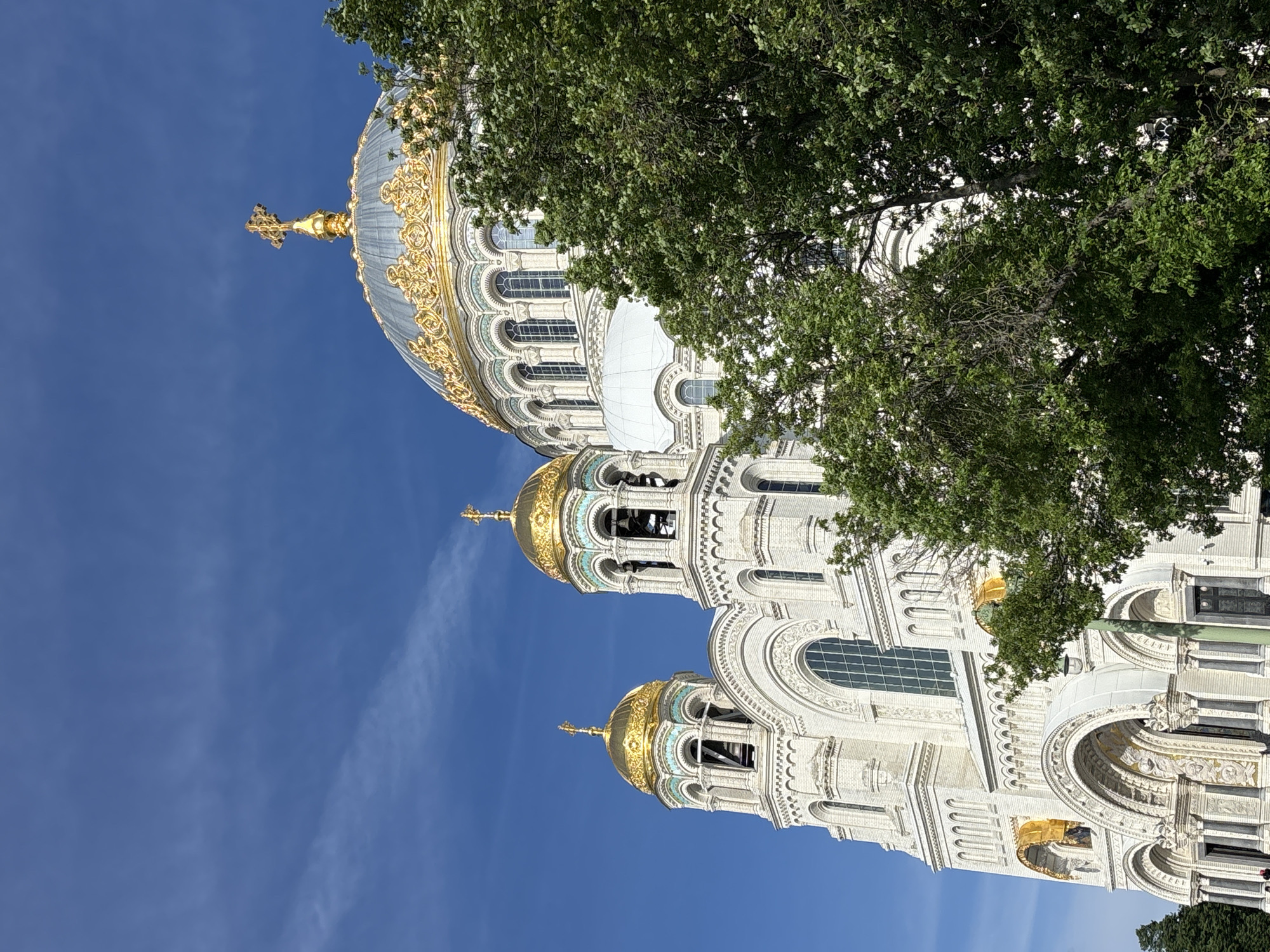 The image shows a frontal view of the Kronstadt Naval Cathedral, a large, white, ornate building with golden domes and crosses, set against a bright blue sky with thin white clouds. The cathedral features intricate architectural details, including arched windows, decorative carvings, and multiple bell towers topped with smaller golden domes. A large tree with lush green foliage partially obscures the right side of the cathedral. The lower portion of the image shows the main entrance with large arched doorways and decorative columns. The scene is bathed in sunlight, indicating it is daytime.