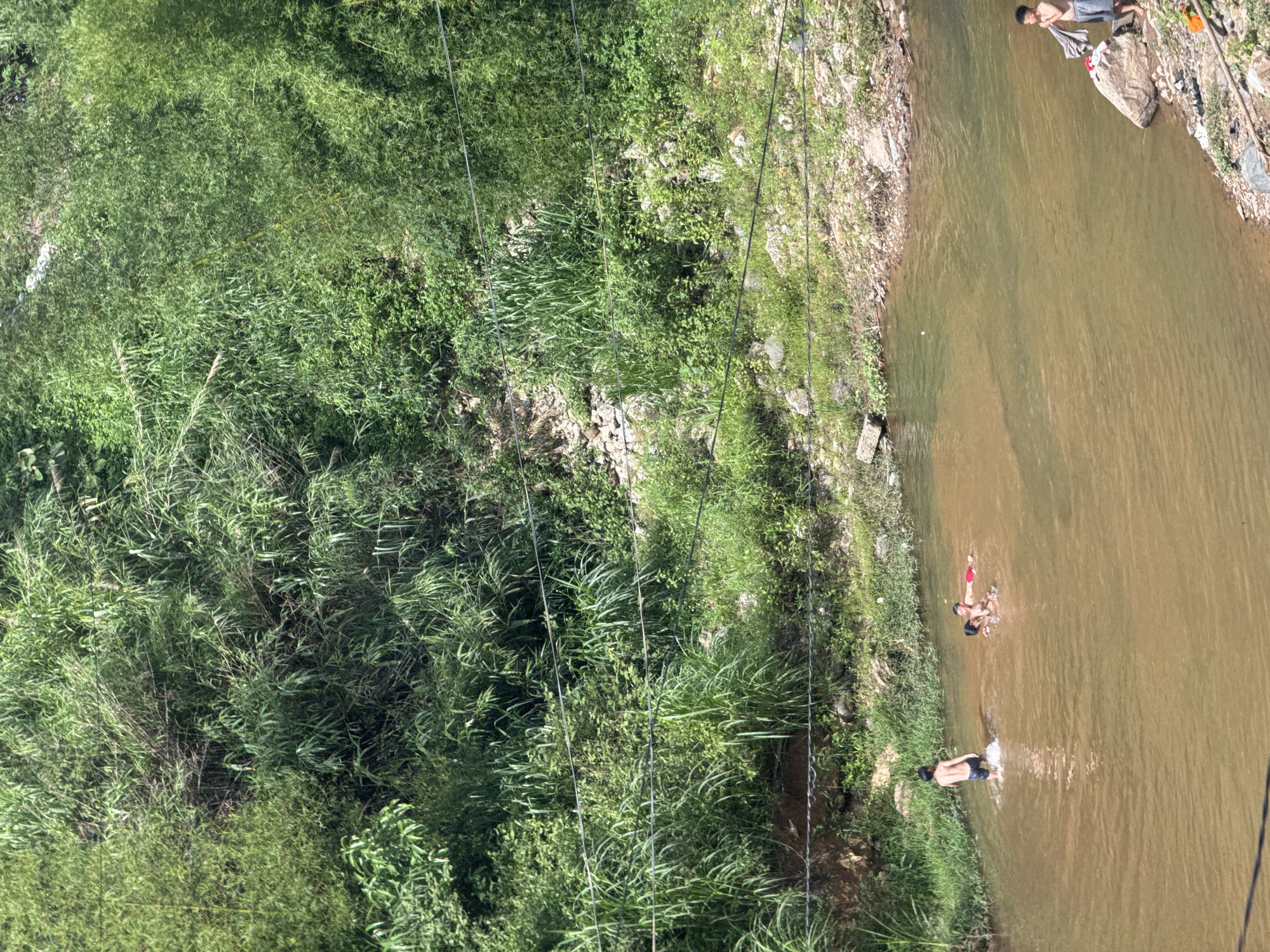 This image, when correctly oriented, presents a rural scene featuring a brown, murky river winding through a vibrant green landscape. The riverbanks are densely covered with lush vegetation, including tall grasses and various leafy plants, interspersed with visible rocks and patches of earth.
Several individuals, appearing to be men and boys, are interacting with the river. On the right bank, a man stands partially submerged in the water, holding a grey cloth, suggesting he might be washing himself or doing laundry. He wears dark shorts. Further upstream in the river, two younger individuals, likely boys, are actively bathing or playing in the water, splashing and interacting. One boy wears red shorts, the other dark.
The scene is captured in bright daylight, indicating clear weather, likely during the morning or afternoon. Several dark overhead lines, possibly power or communication cables, traverse the upper portion of the frame, running above the vegetation and river. The image provides a glimpse into daily life in a natural setting, consistent with the context of Lao Chai, Vietnam, where rivers are often integral to community activities. There is no visible text in the image.