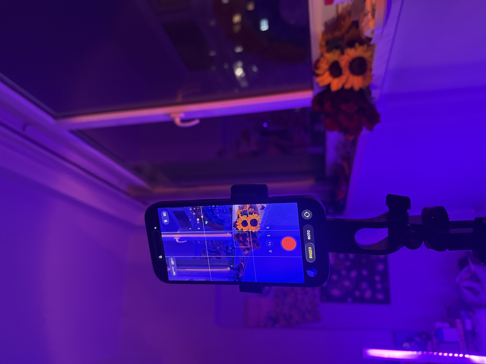 The image depicts a smartphone mounted on a tripod, positioned to take a photo or video of a floral arrangement consisting of sunflowers and roses. The scene is indoors, bathed in purple light. In the background, a window reflects city lights, possibly at night. The location is inferred to be Yerevan, Armenia, based on the included information. The smartphone display shows the camera app interface, with the floral arrangement centered in the frame.