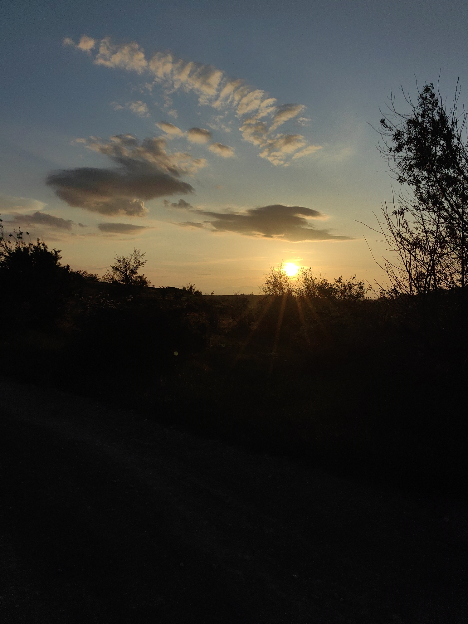 A landscape photograph captures a sunset over a silhouette of trees and foliage. The sky has a gradient of blue and orange hues, with scattered clouds. The sun is the focal point, appearing as a bright orb partially obscured by trees. Rays of sunlight emanate outwards. The foreground is underexposed, rendering the ground and some of the vegetation as black silhouettes. A few tree branches are visible on the right side. The location is in the city of Unknown, Unknown.