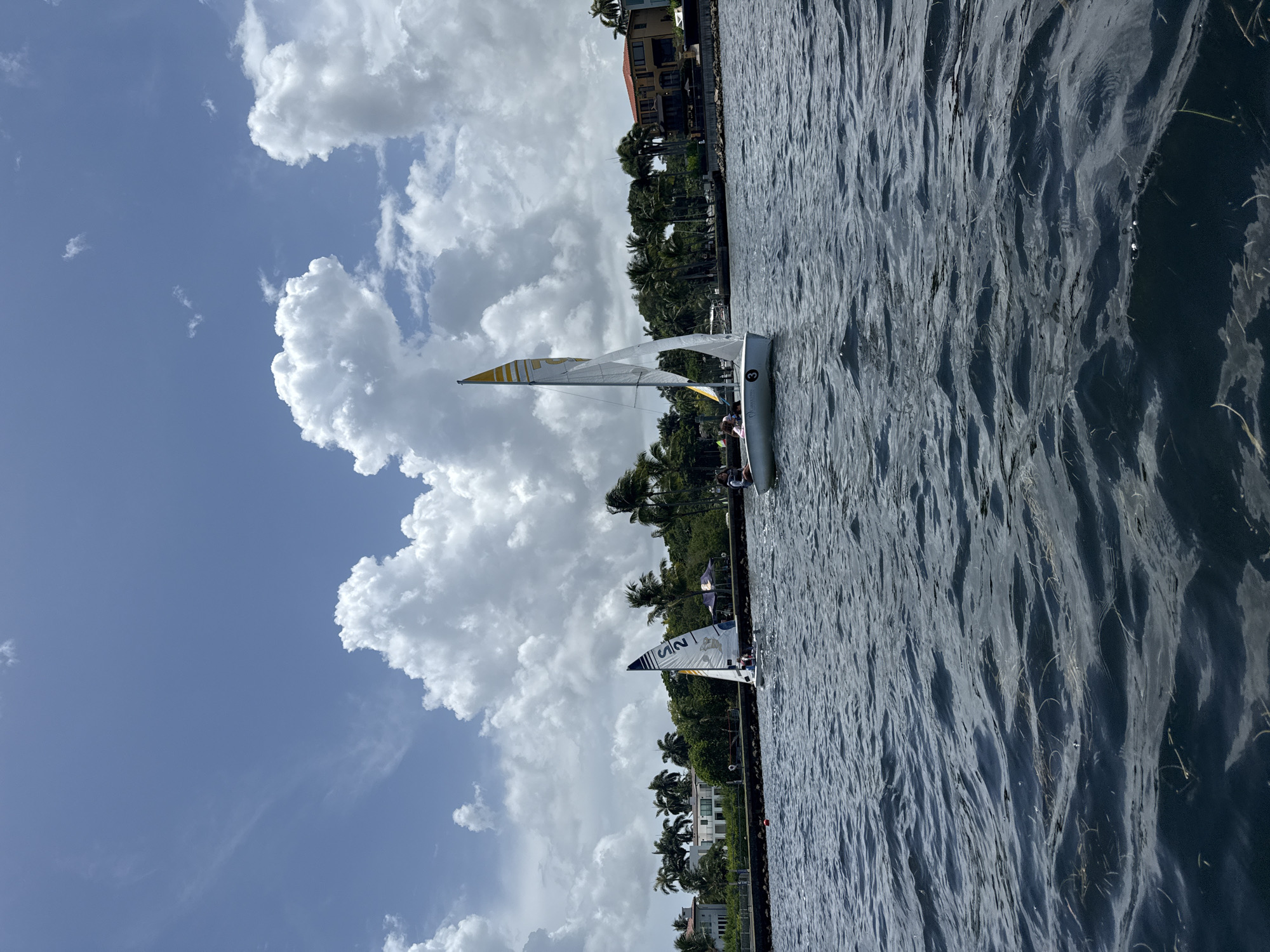 This image depicts a sunny day with a partially cloudy sky over a body of water, likely an intercostal waterway in Miami, Florida. In the foreground, dark blue water with a rippled surface is visible, with some light-colored debris floating on it. Two sailboats are present on the water. The sailboat on the right is closer and larger, with a white sail featuring yellow and black accents and the number "3" visible. A person is seated in this sailboat. The sailboat on the left is smaller and further away, with a white sail that has blue markings and the number "225". A shoreline is visible in the background, lined with lush green palm trees and tropical foliage. Several large, modern houses with white and orange facades are situated behind the trees. The sky is a bright blue, dotted with fluffy white cumulus clouds. The overall scene suggests a recreational activity taking place on a clear day in a coastal urban environment.