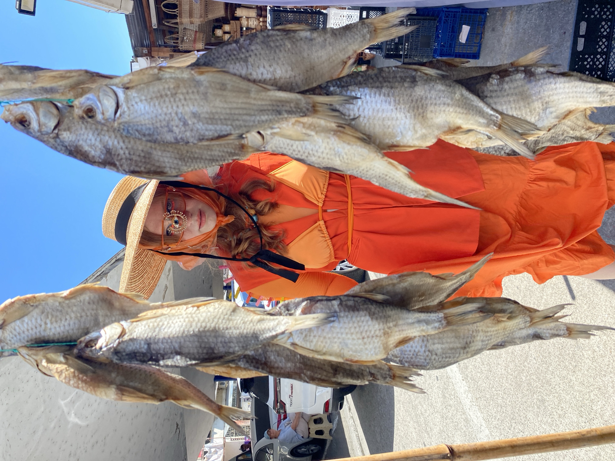 A person wearing an orange outfit, a straw hat, and orange-rimmed glasses with an eye-shaped embellishment on the bridge stands outdoors, with dried fish hanging in front of them. The person is positioned between two strings of fish, with the fish obscuring most of their body. The background shows a bright blue sky, a white structure with what appears to be a wing-like element, cars, a market stall with woven baskets, and blue crates. The ground is paved. The overall scene suggests a market or outdoor event in a sunny location.
Given the presence of woven baskets and the general atmosphere, this scene could be located in a marketplace in Sochi, Russia, known for its coastal setting and diverse market offerings.
