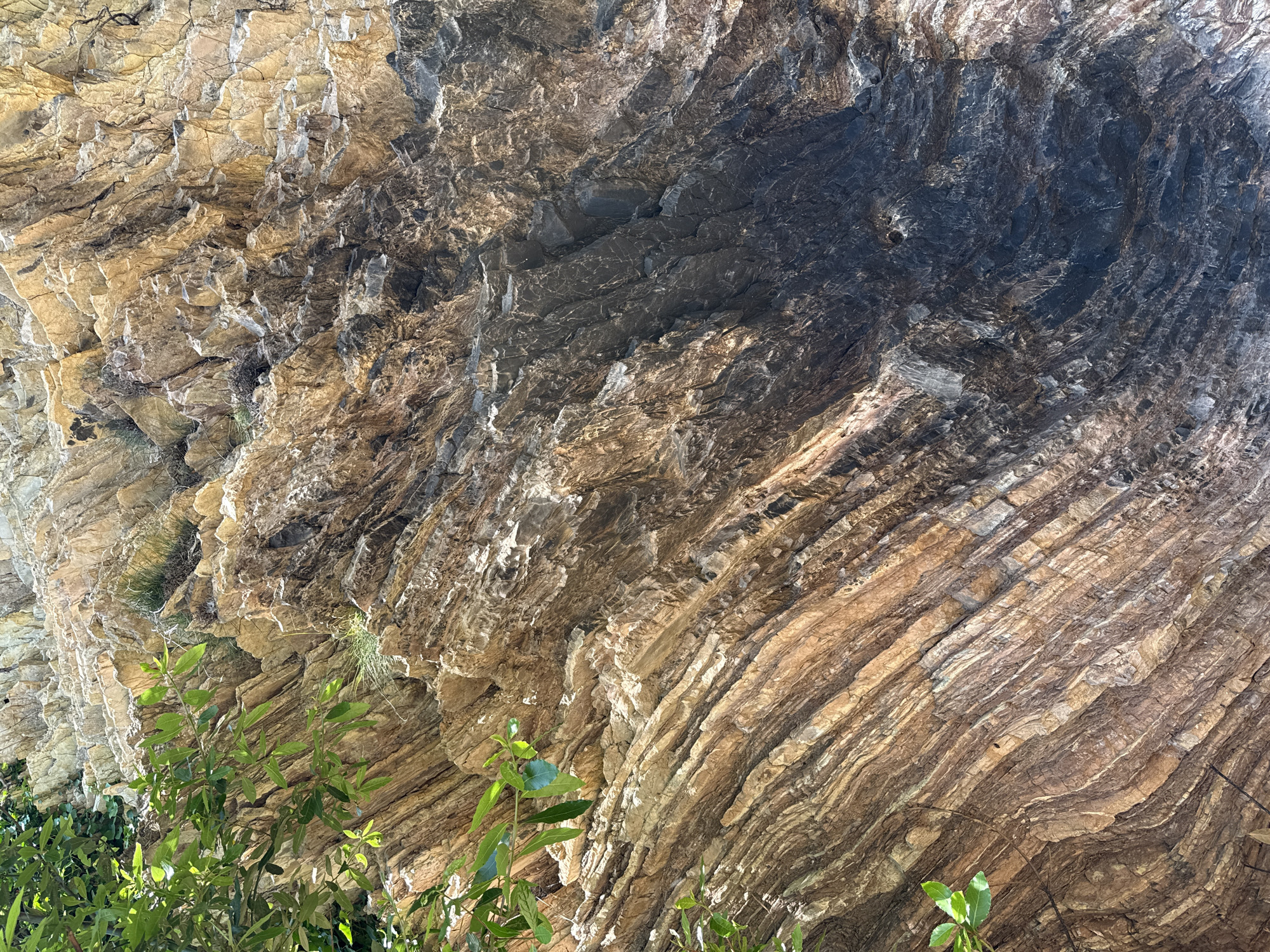 The image shows a close-up view of a rock face in Sasovići, Montenegro. The rock exhibits distinct layers of varying colors and textures, with some sections appearing darker and smoother than others. There are also patches of vegetation, including green leaves, growing near the base of the rock face. The overall scene appears natural and undisturbed, typical of a rocky landscape.