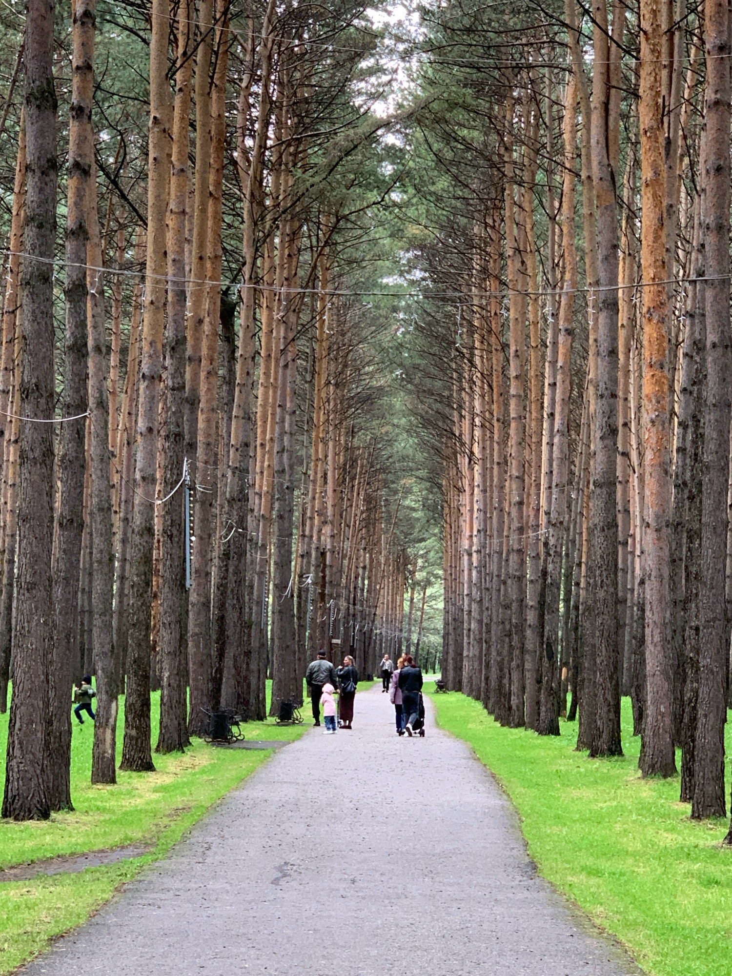 The image shows a pathway through a dense forest of tall pine trees. The pathway is paved and curves into the distance. On either side of the pathway, there is a strip of vibrant green grass. Several people are walking along the path. In the foreground, two people are walking away from the camera, one pushing a stroller. Further up the path, a woman and child are walking together. In the mid-ground, another group of people are walking. To the left of the pathway, a child is running on the grass. Some of the trees have what appear to be lights or decorations strung between them.
This scene is located in the city of Prokopyevsk, Russia, specifically within the Arboretum, a park known for its pine trees and walking paths. The Arboretum is a popular recreational area for residents and visitors. The trees are likely part of a managed forest, providing a natural and serene environment for the park. The presence of people indicates the area is actively used for leisure and recreation.