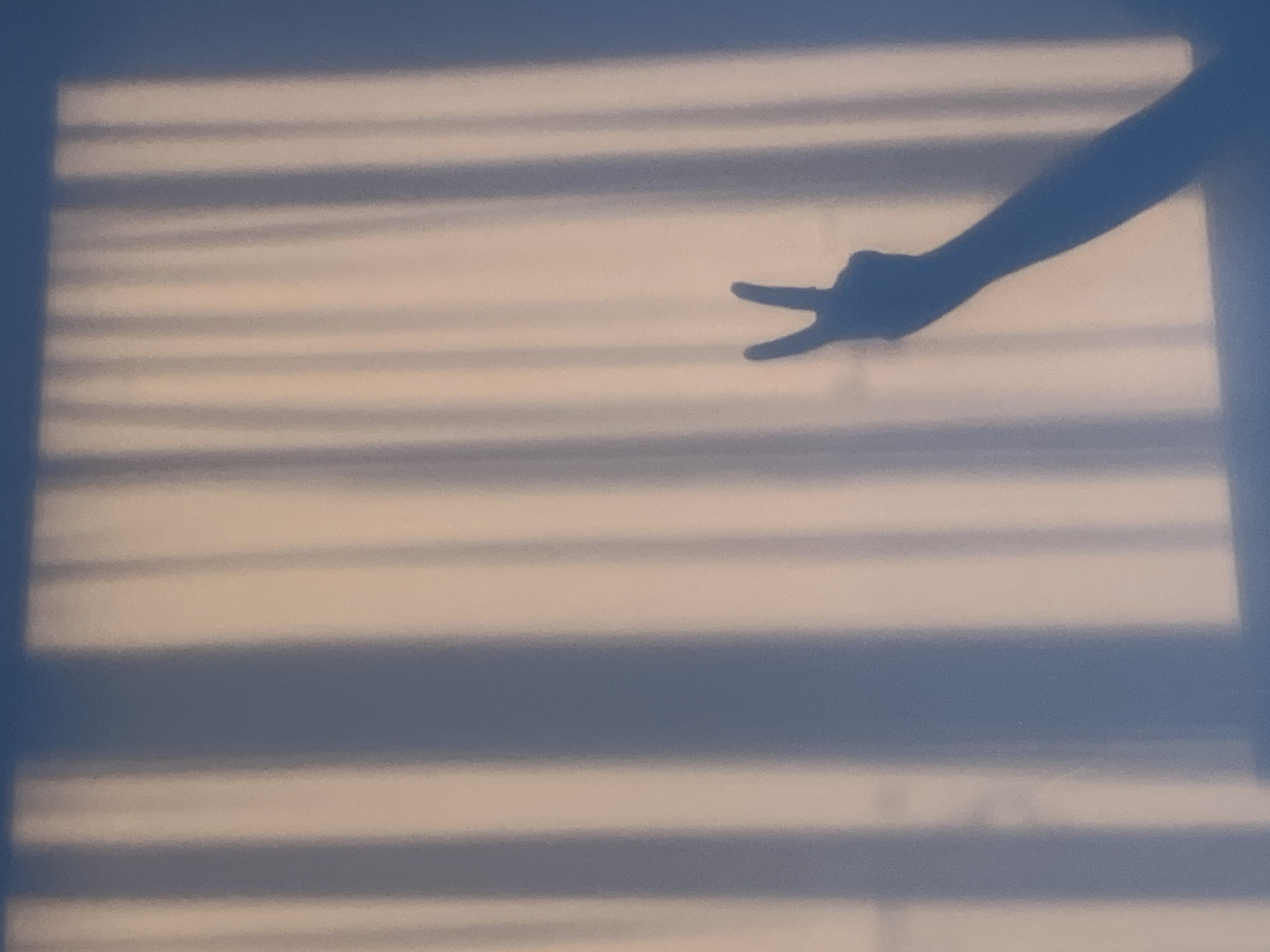 The image shows a shadow of a hand making a peace sign. The shadow is cast on a wall with horizontal lines, possibly from window blinds. The wall itself appears to be light-colored, possibly white or light blue. The scene is located in the city of Kribul, Bulgaria.