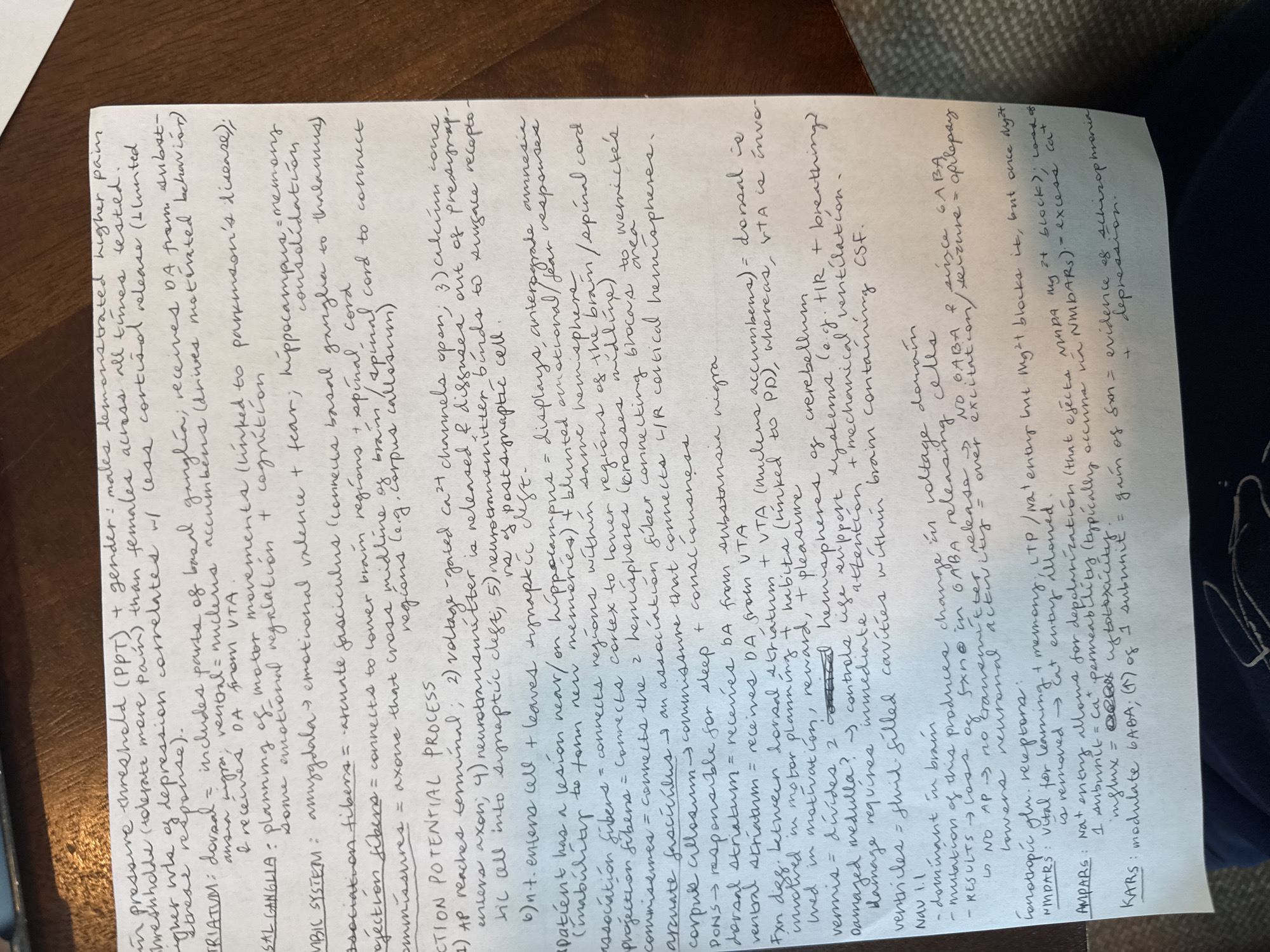 The image presents handwritten notes on lined paper, covering topics in neuroscience and pharmacology. Key areas discussed include pain perception, basal ganglia function (striatum, substantia nigra, nucleus accumbens), the limbic system (amygdala, hippocampus), action potential processes, neuronal connections in the brain (association fibers, projection fibers, commissures), roles of the pons, dorsal and ventral striatum, functions of the cerebellum and medulla, brain ventricles, the role of sodium channels (Nav 1.1), GABAergic neurotransmission, glutamatergic receptors (NMDARs, AMPARs, KARs), long-term potentiation (LTP), and potential links to diseases like Parkinson's, schizophrenia, and depression. The notes consist of short phrases and definitions. The image does not contain geographic information, so I cannot comment on the location.