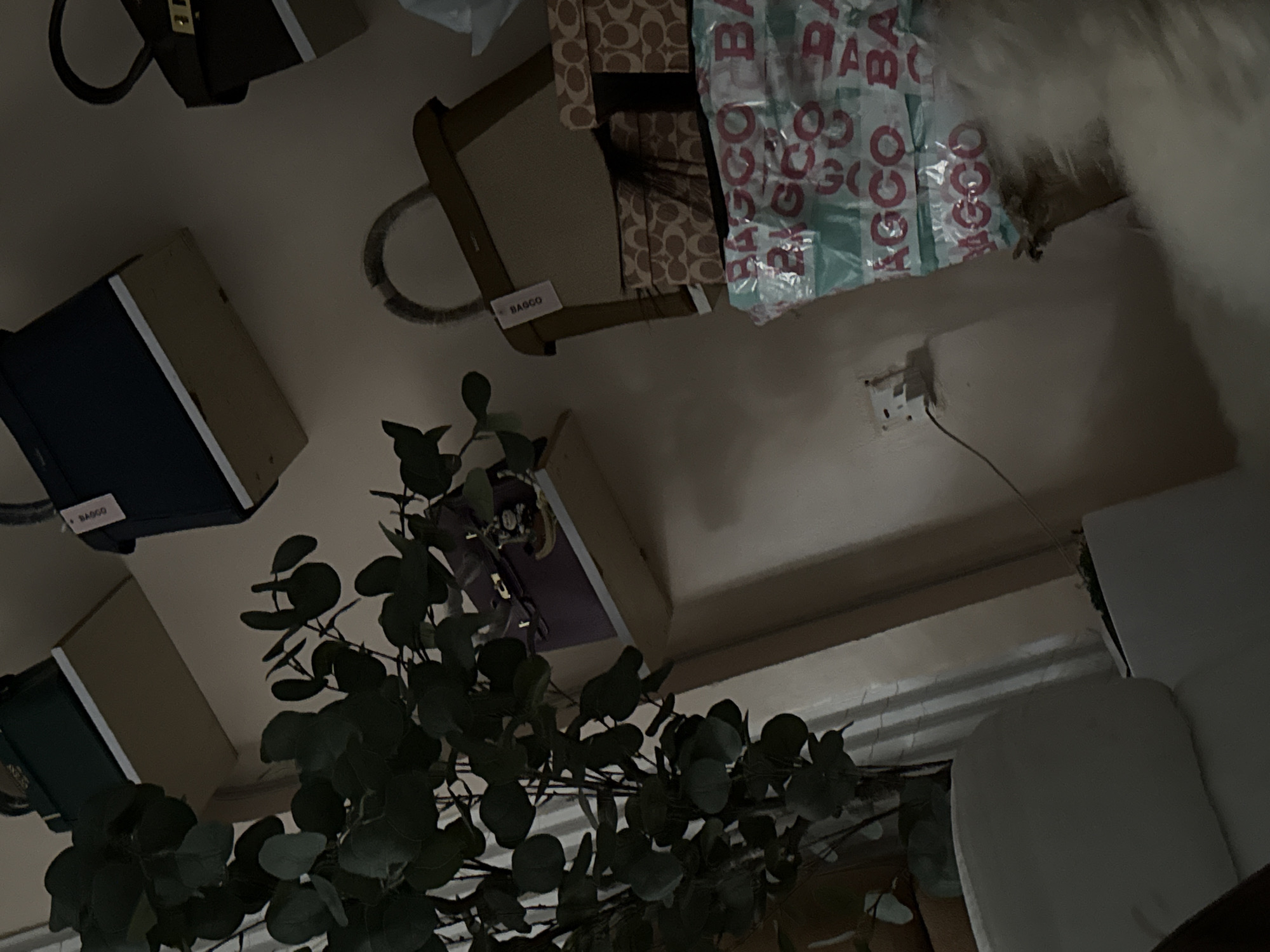 The image depicts an indoor scene, likely a room in a residential or commercial space, with several handbags displayed on shelves. The lighting is dim, suggesting it may be evening or the blinds are drawn. In the foreground, a large potted plant with dark green, rounded leaves and thin branches is visible on the left. To the right of the plant, a white sofa or chair is partially visible.
The wall behind the plant and furniture features several shelves holding various handbags. On the top shelf, a dark green handbag is on the left, and a navy blue handbag is on the right, both with tags. The middle shelf holds a purple bag with some small items on it, and a tan handbag with a circular handle. Below this, a stack of boxes with a repeating circular pattern is visible, likely branded packaging. The bottom of the image shows more stacked packaging with the word "BAGCO" repeated in pink lettering on a teal background.
A white electrical outlet with a black cord is mounted on the wall to the right of the plant and in front of the stacked packaging. The overall impression is one of an organized display of luxury or designer items. There are no people clearly visible in the image, though the presence of furniture suggests it is an inhabited space. The environment appears to be a well-lit, interior setting with decorative elements. The location of this scene in Abuja, Nigeria, cannot be determined from the visual information provided in the image.