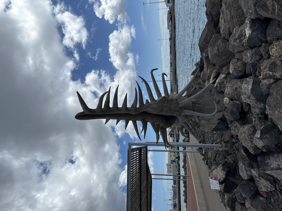 This image depicts an outdoor scene in Puerto del Rosario, Spain, centered on a large, abstract sculpture positioned on a rocky breakwater. The sculpture, several meters tall, is dark grey and organic in form, resembling a split shell or seed pod with a central opening and numerous pointed, root-like extensions protruding from its base and sides. These extensions intermingle with large, irregular dark grey and black rocks forming the immediate ground surrounding the sculpture.
To the left, a reddish-brown paved promenade runs parallel to the water. Adjacent to the promenade is a light-colored metal pergola with a slatted roof, providing shade. A small white informational sign is visible on a post near the pergola's base. The background on the right features a body of water with a gently rippled surface, indicative of a sea or harbor. Across the water, the industrial infrastructure of a port is visible, comprising multiple white and light-colored buildings, tall poles or cranes, and indistinct vessels. The sky above is partially cloudy, displaying patches of clear blue interspersed with large, white cumulus clouds. No people are present in the scene.