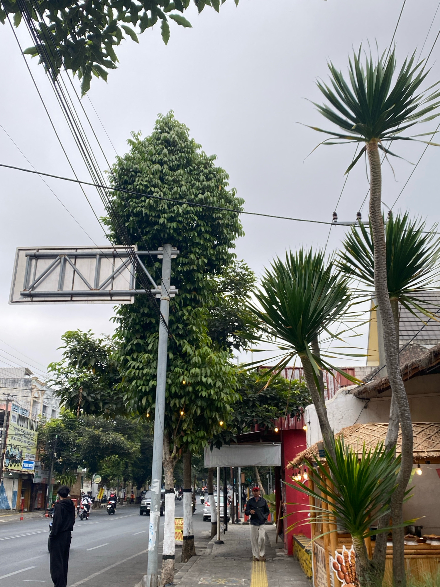 The image shows a street scene in the city of Unknown, Unknown. On the left side of the street, there are several buildings with businesses, including one with a sign that reads "MM MODRIZ MOTOR". A person in a black hoodie is standing on the sidewalk, facing the street. Several motorcycles are also present on the street, with some of them moving. In the background, there is a traffic light and more buildings. On the right side of the street, there is a walkway with a building that has a thatched roof and a red wall. Two palm trees are in front of this building. The sky is overcast.
