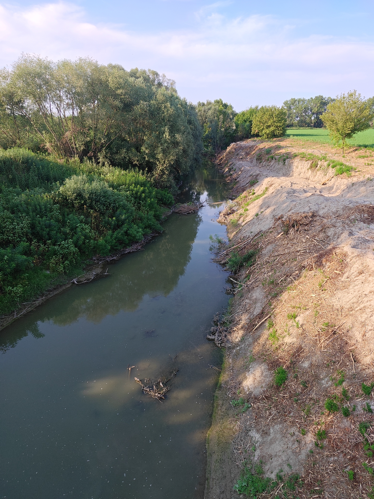 The image depicts a calm river flowing through a rural landscape under a partly cloudy sky. The left bank of the river is densely covered with lush green vegetation and trees. The right bank is characterized by a steep, sandy embankment with scattered dry branches and sparse green shoots. In the background, a field of green crops stretches towards a line of trees under a clear blue sky. The water in the river appears murky with some debris floating on the surface. The scene is devoid of any people or human activity. This setting is characteristic of the agricultural outskirts of the city of Modena, Italy, where numerous small rivers and canals meander through the countryside.