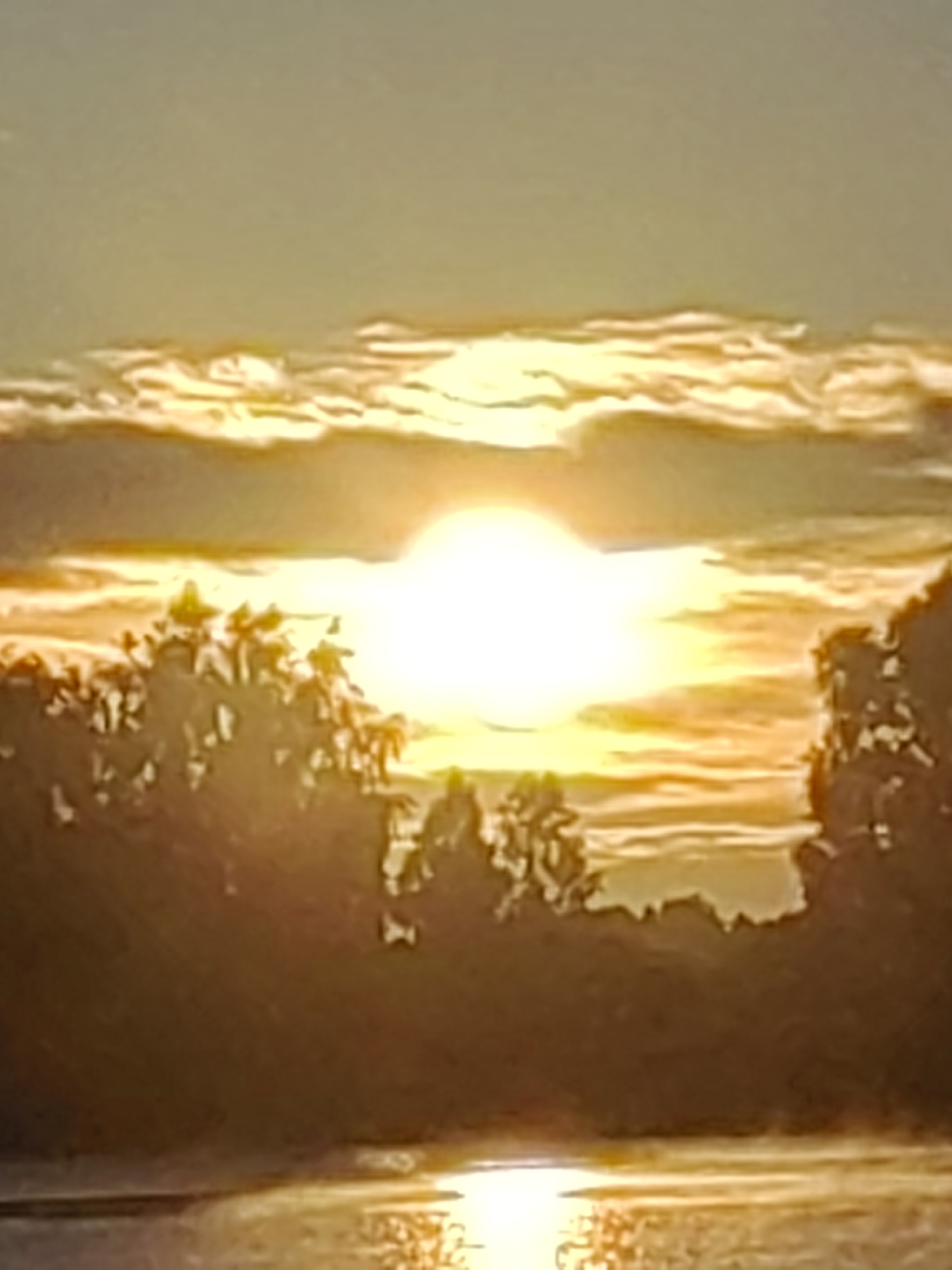 This image depicts a serene natural landscape, likely captured during sunset or sunrise, with the sun as the central and brightest element. The sun appears as a glowing orb, its light diffused by clouds, creating a warm, golden hue across the sky. The horizon is lined with silhouetted trees, their foliage a dark contrast against the luminous sky. Below the trees, a body of water reflects the ambient light, its surface shimmering with the colors of the sunset. The overall impression is one of tranquility and natural beauty. Given the location of Усяжскі сельскі Савет in Belarus, this scene is consistent with the rural and natural settings found in this region, characterized by forests, lakes, and fields.
